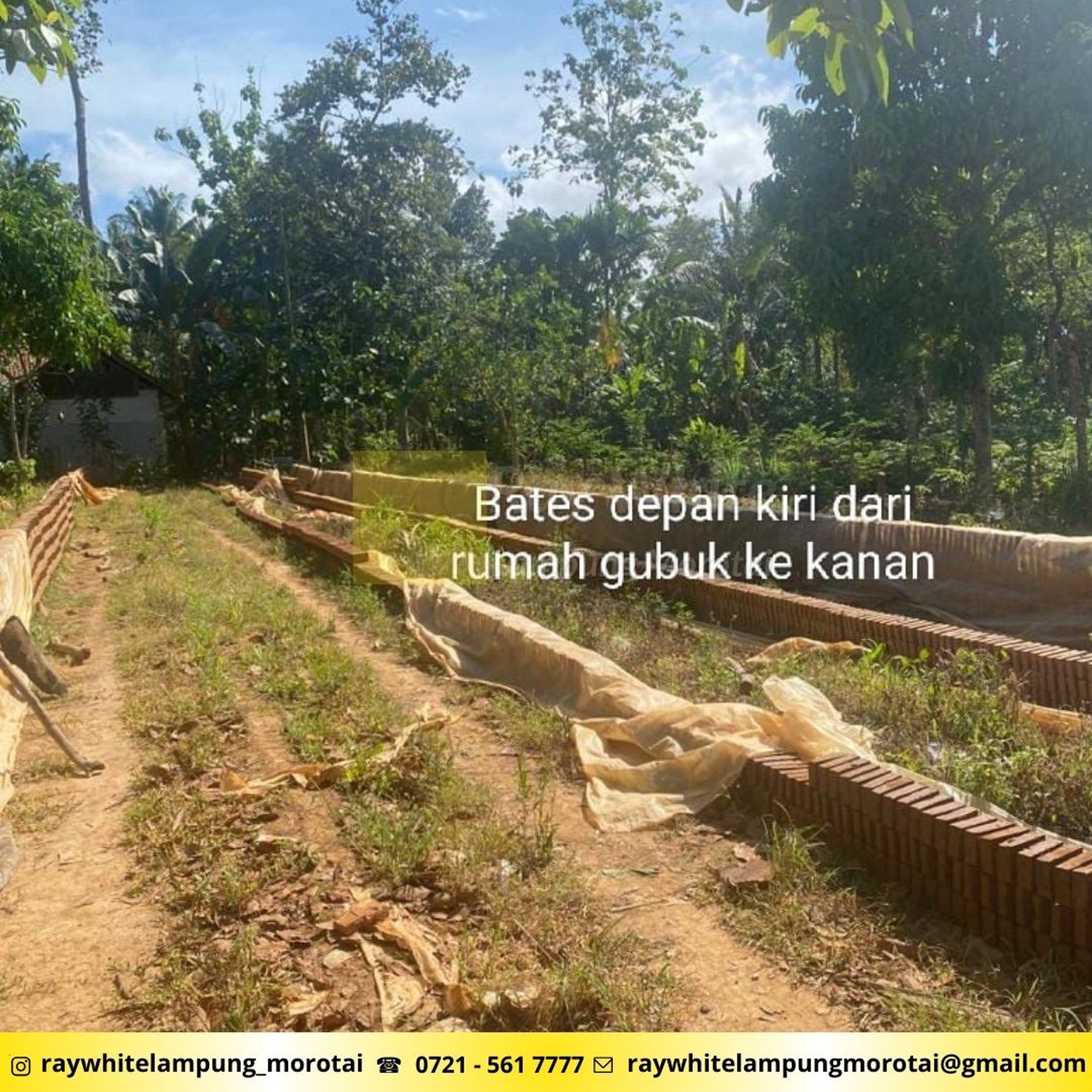 Dijual Tanah lokasi Katibung padasuka lampung selatan