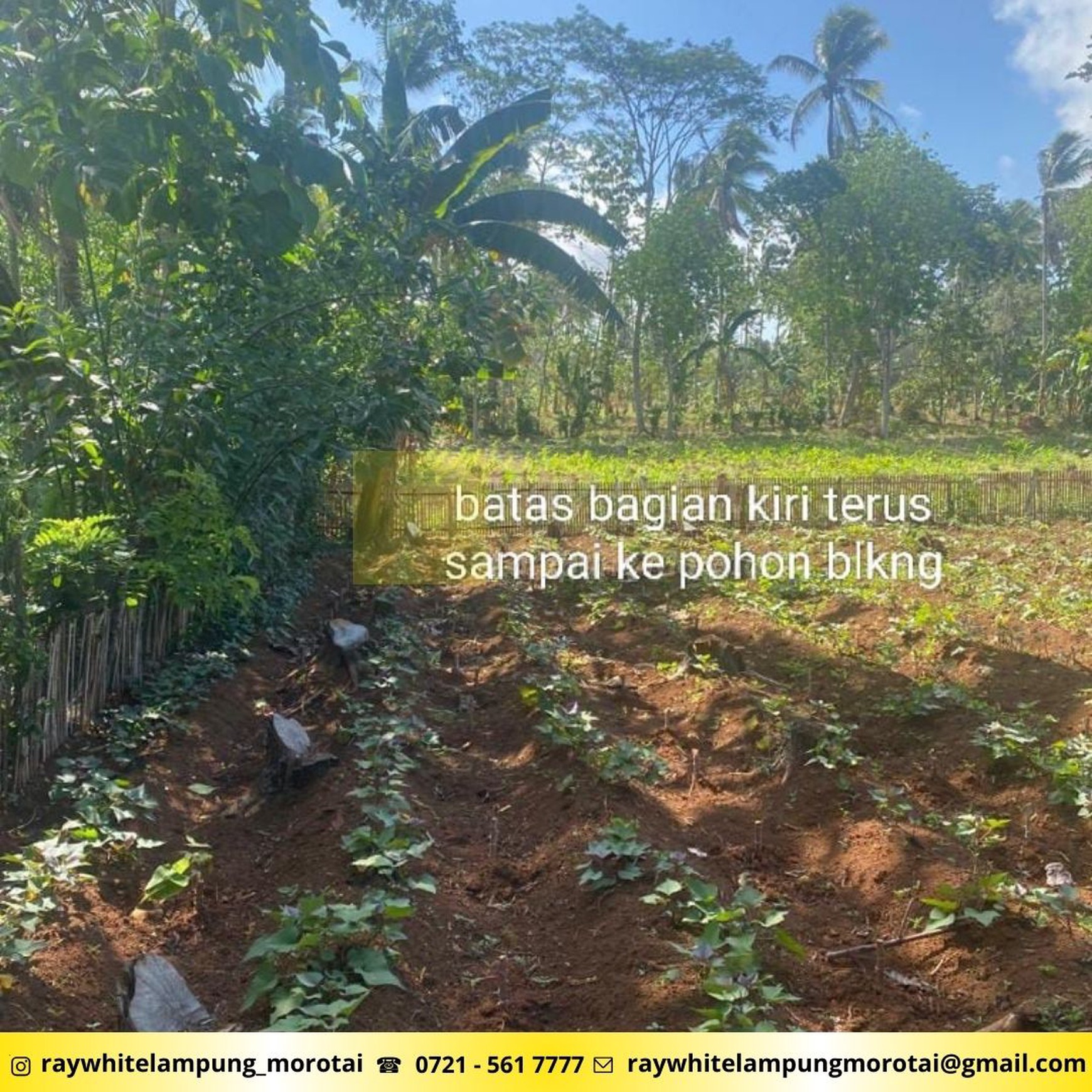 Dijual Tanah lokasi Katibung padasuka lampung selatan