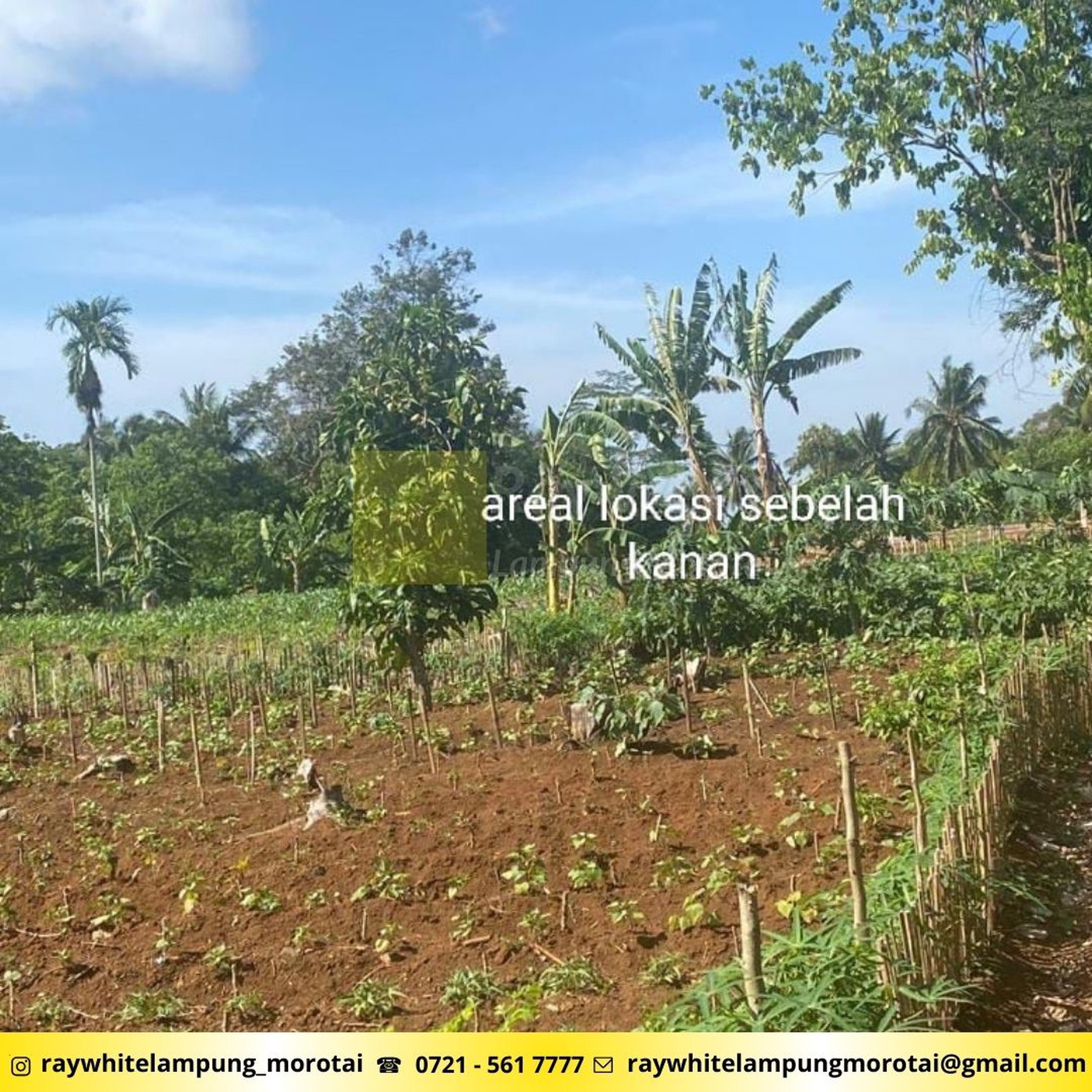 Dijual Tanah lokasi Katibung padasuka lampung selatan