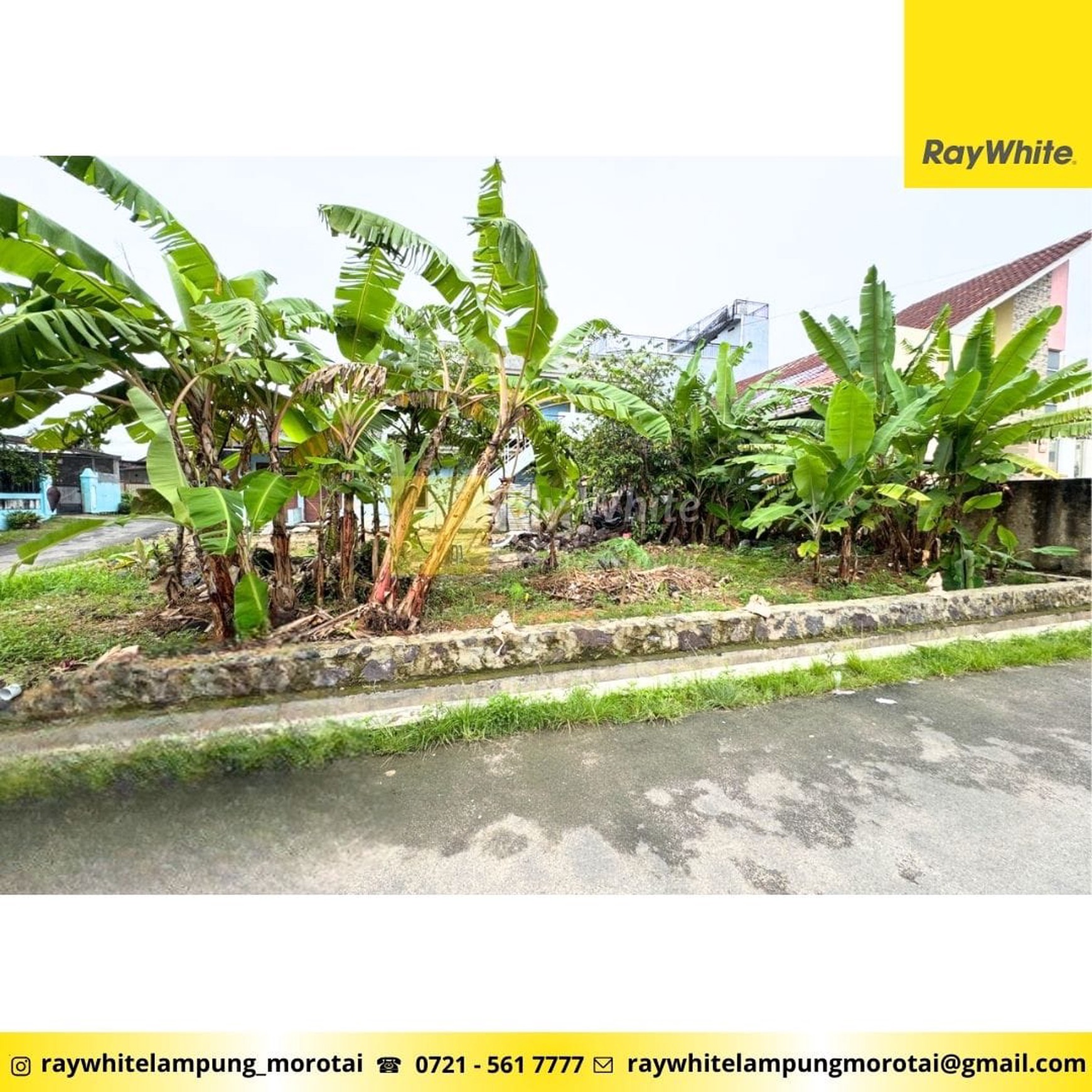 Dijual tanah di daerah kedamaian