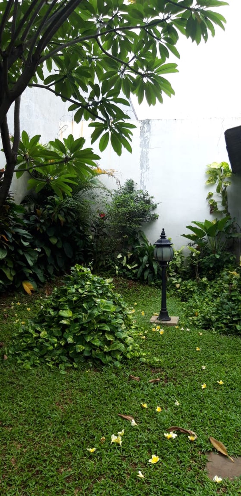 Rumah  siap huni di Bintaro Jaya Jakarta Selatan.