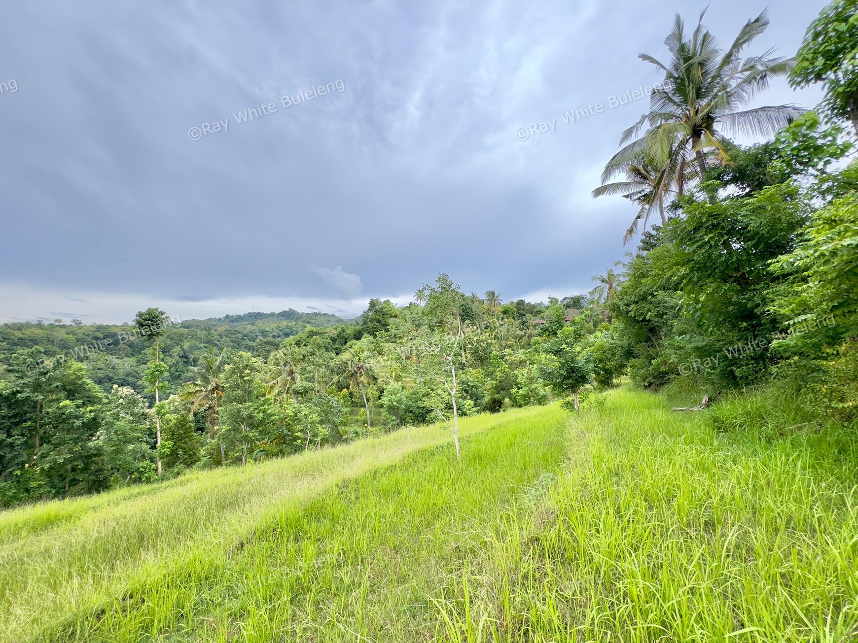 LAND WITH OCEAN AND HILLS VIEW, ONLY 15 MINUTES FROM LOVINA BEACH