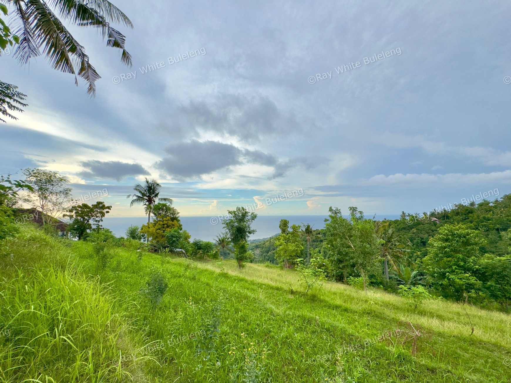 LAND WITH OCEAN AND HILLS VIEW, ONLY 15 MINUTES FROM LOVINA BEACH