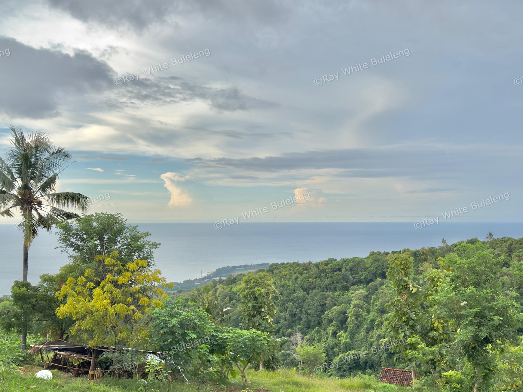 LAND WITH OCEAN AND HILLS VIEW, ONLY 15 MINUTES FROM LOVINA BEACH