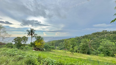 LAND WITH OCEAN AND HILLS VIEW, ONLY 15 MINUTES FROM LOVINA BEACH