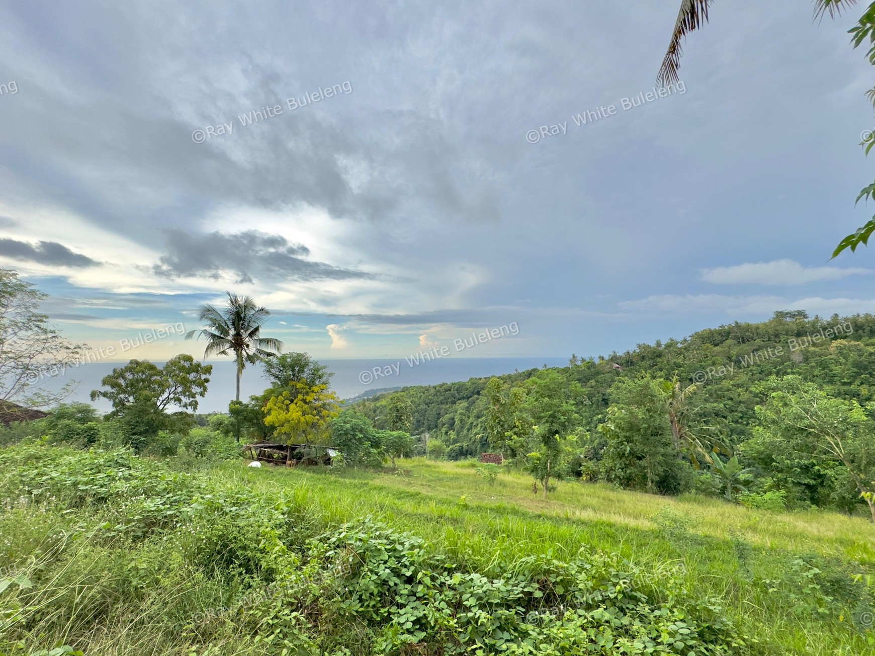 LAND WITH OCEAN AND HILLS VIEW, ONLY 15 MINUTES FROM LOVINA BEACH