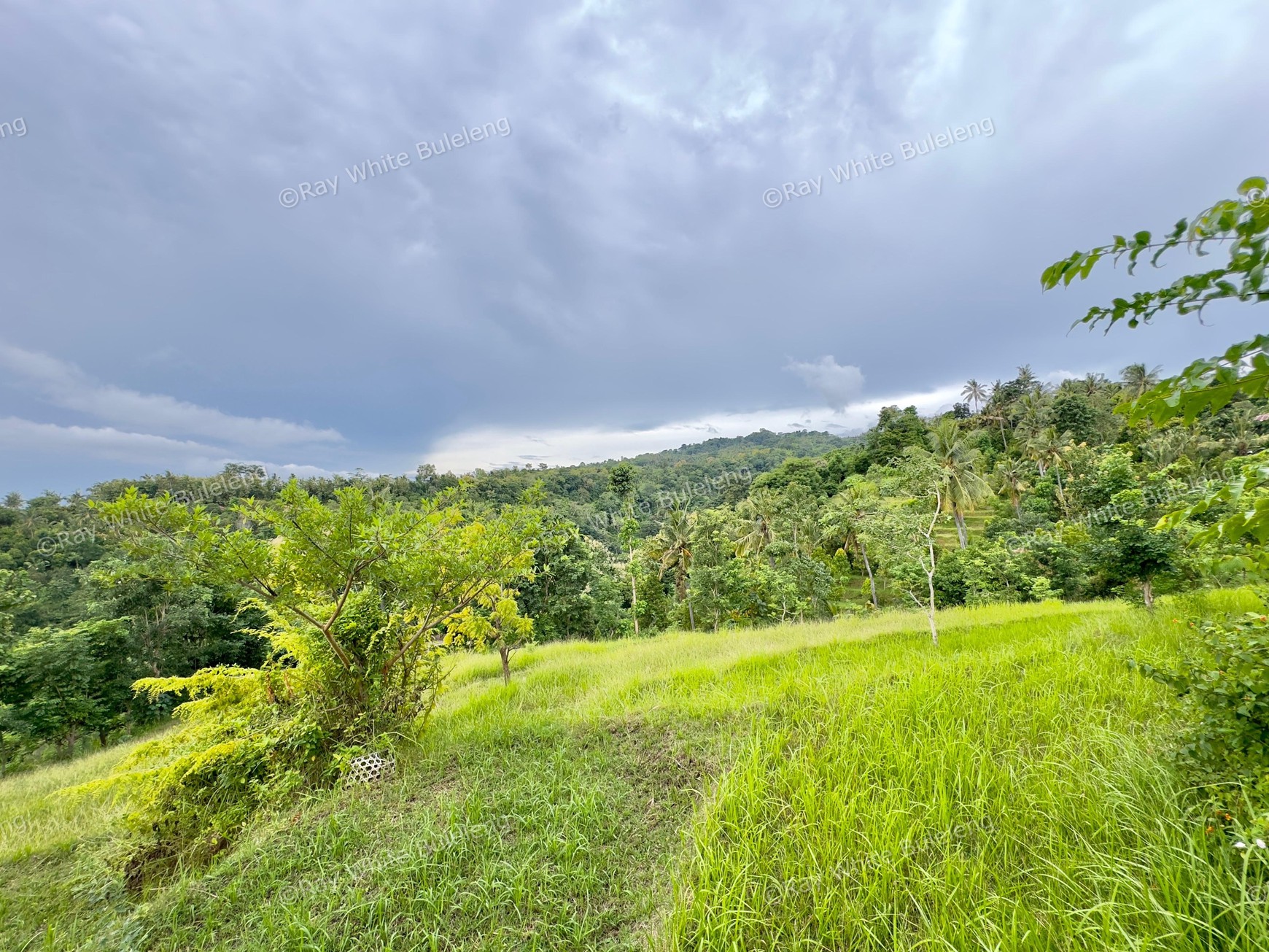 LAND WITH OCEAN AND HILLS VIEW, ONLY 15 MINUTES FROM LOVINA BEACH