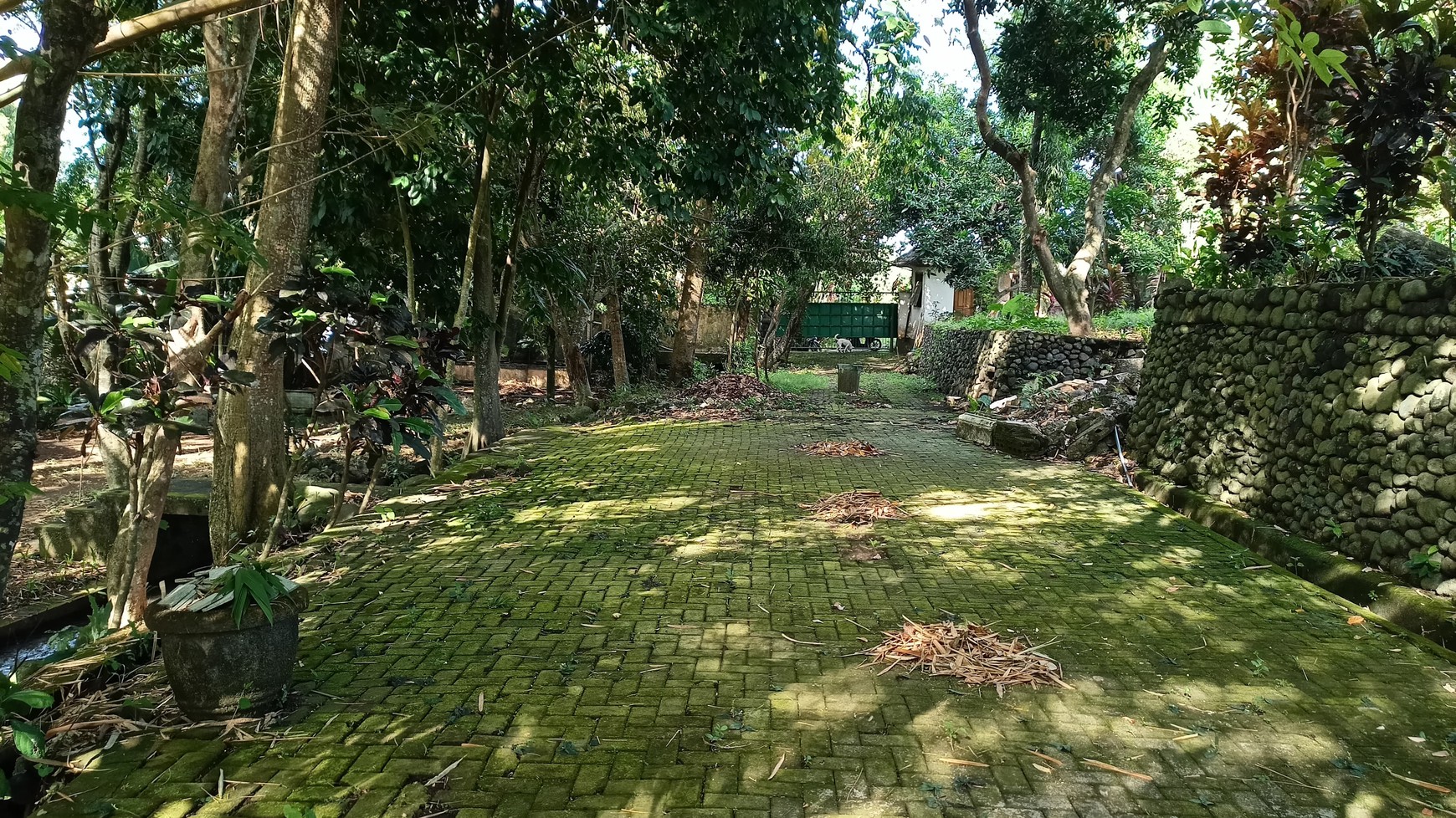 Freehold - Riverside Land for Sale in Prime Canggu, Bali Location