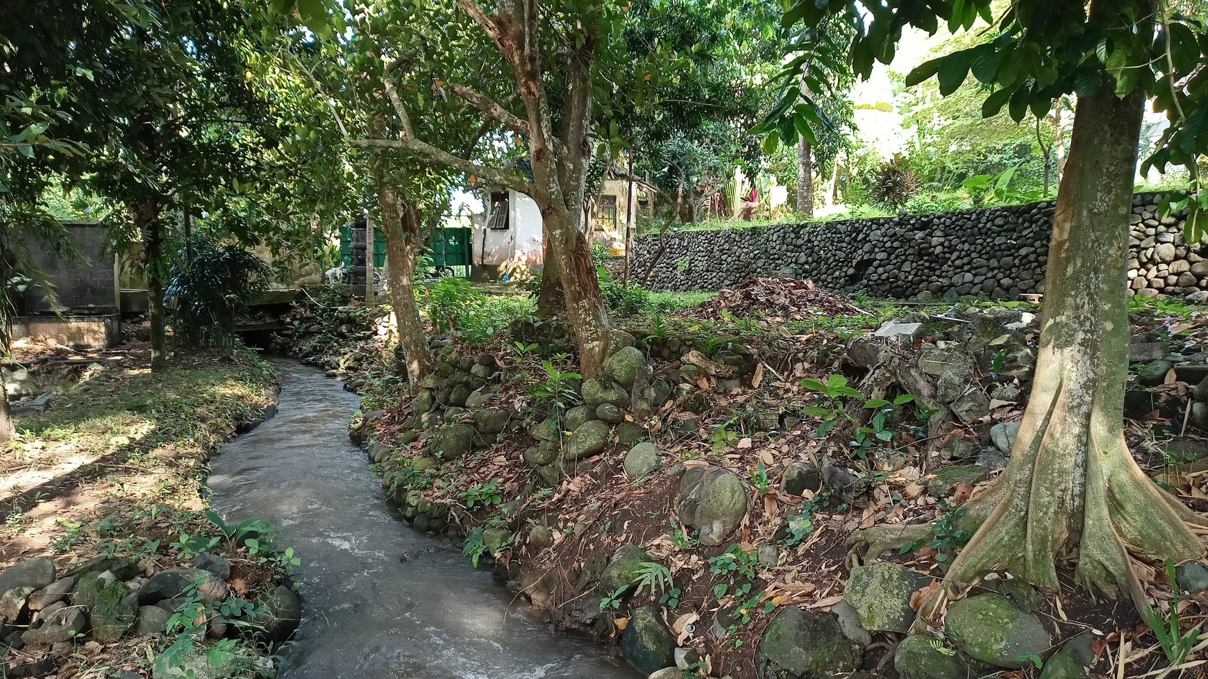 Freehold - Riverside Land for Sale in Prime Canggu, Bali Location