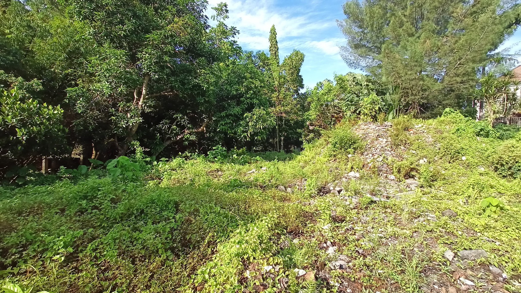 Freehold - Riverside Land for Sale in Prime Canggu, Bali Location