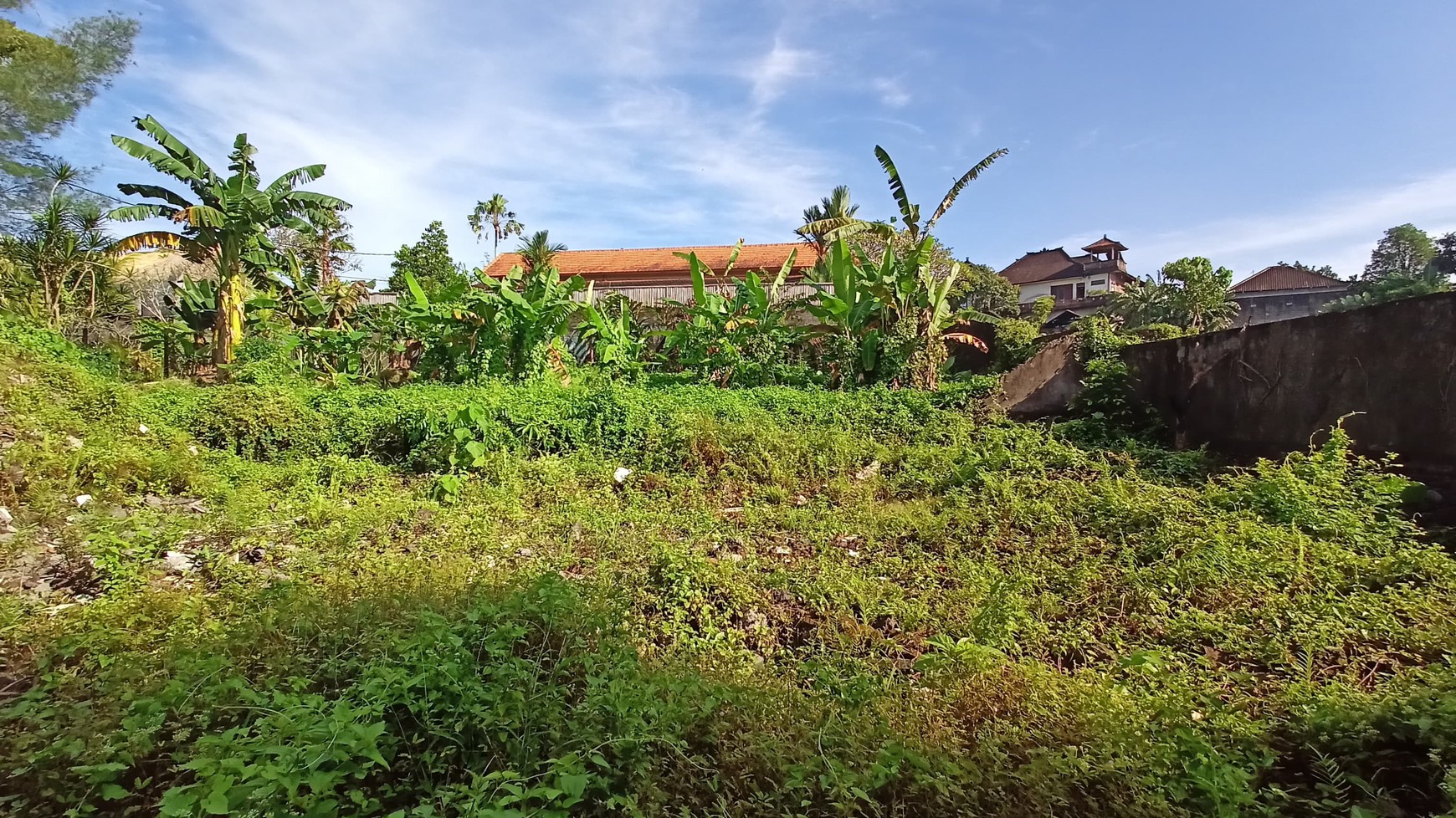 Freehold - Riverside Land for Sale in Prime Canggu, Bali Location