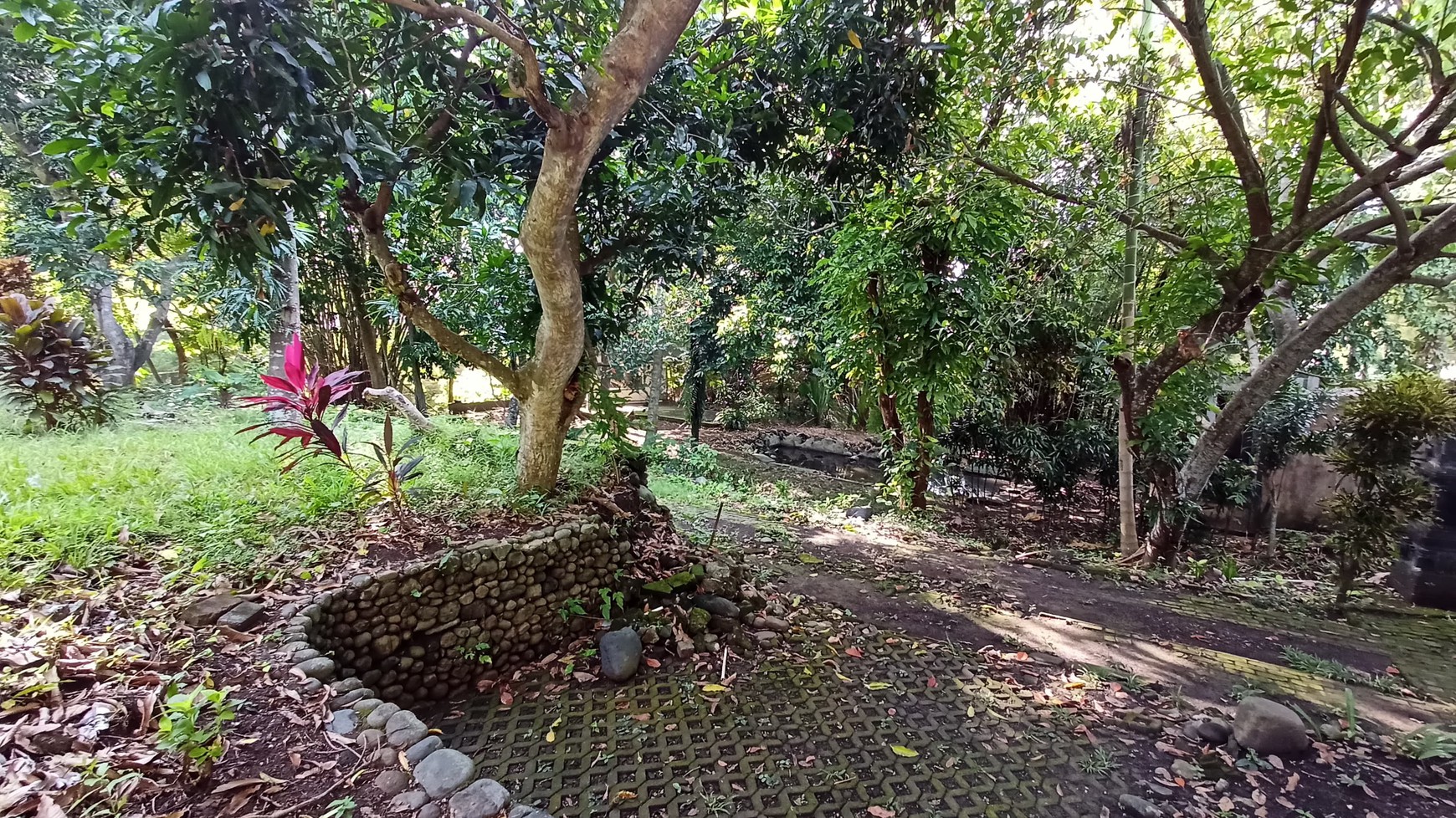 Freehold - Riverside Land for Sale in Prime Canggu, Bali Location