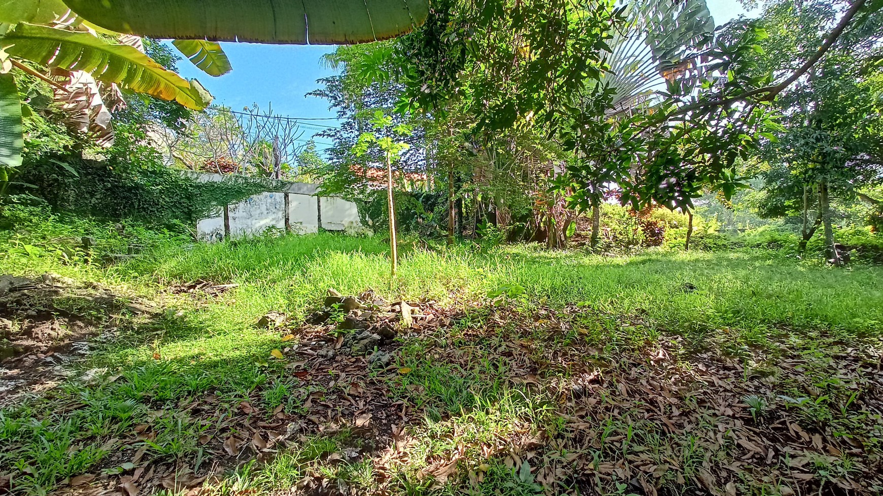 Freehold - Riverside Land for Sale in Prime Canggu, Bali Location
