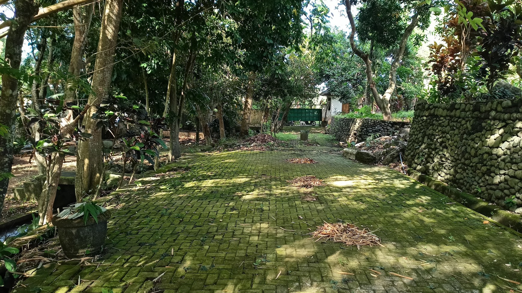 Freehold - Riverside Land for Sale in Prime Canggu, Bali Location