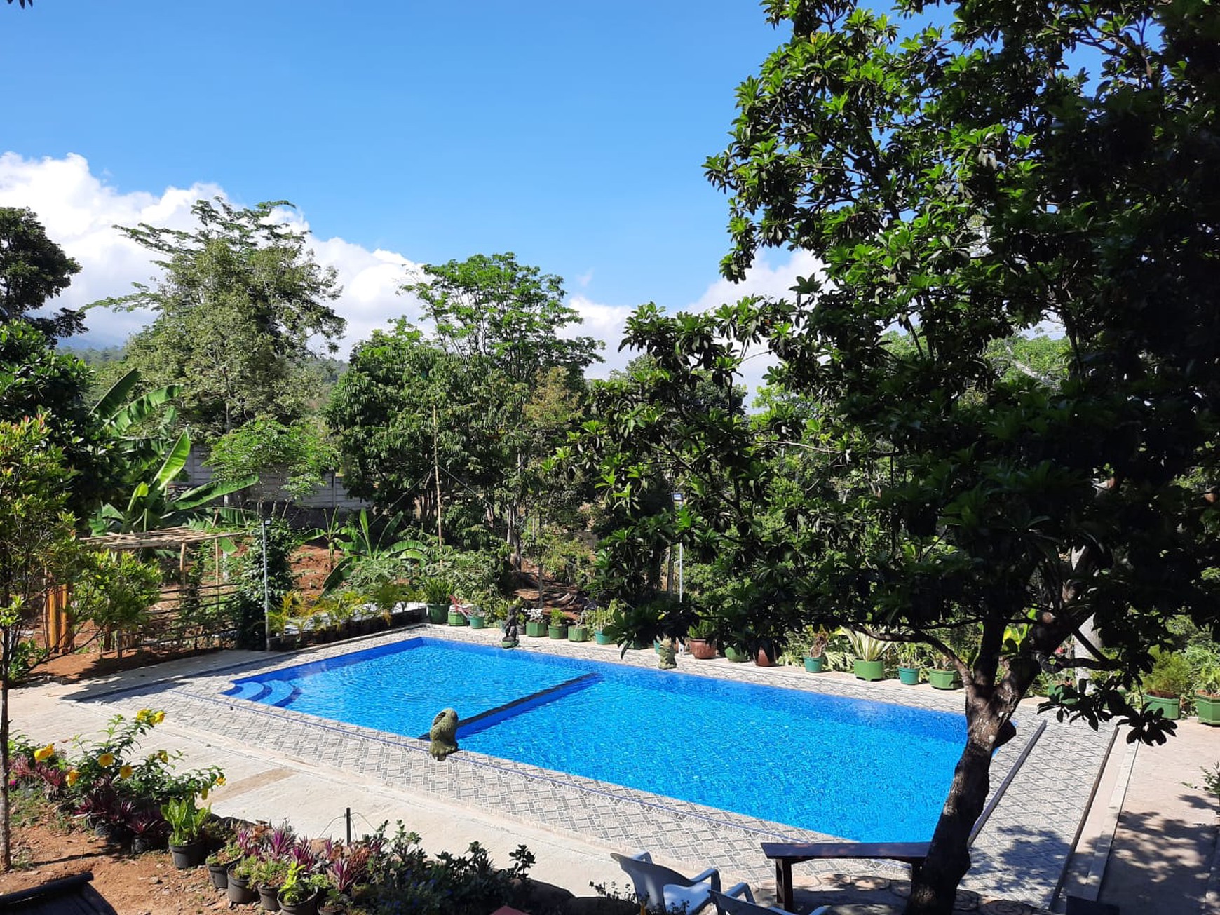 DIJUAL VILLA DAN TANAH JALAN RAYA SUKOSARI TRAWAS SELATAN
