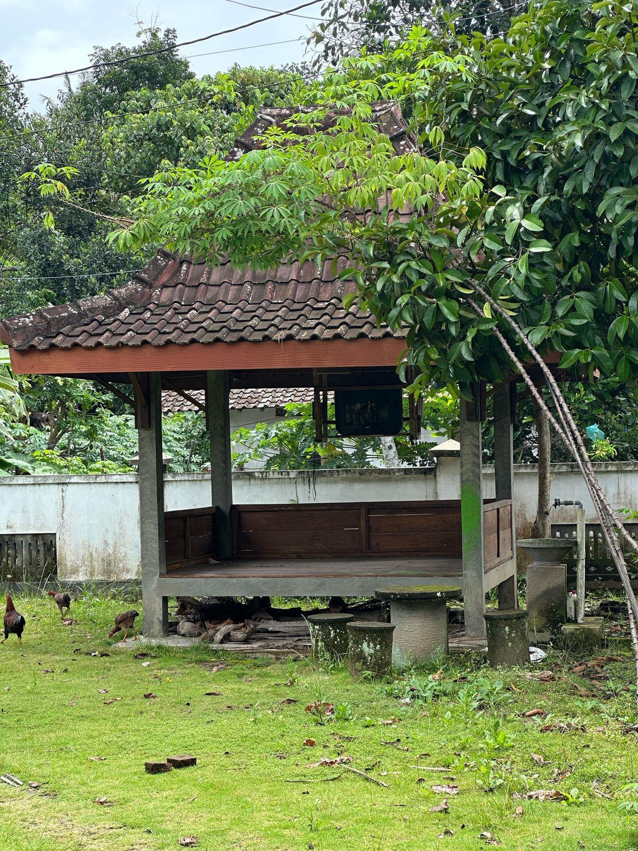 Rumah Kolonial Belanda, Cocok Untuk Homestay Berada Dekat Dengan Obelix Village Pandowoharjo Sleman 