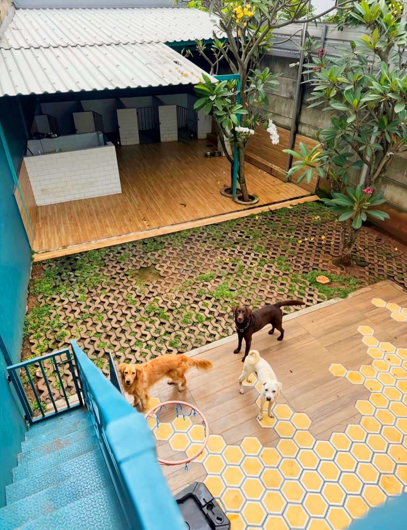 Rumah Bagus Di Discovery Terra Bintaro Jaya Sektor 9