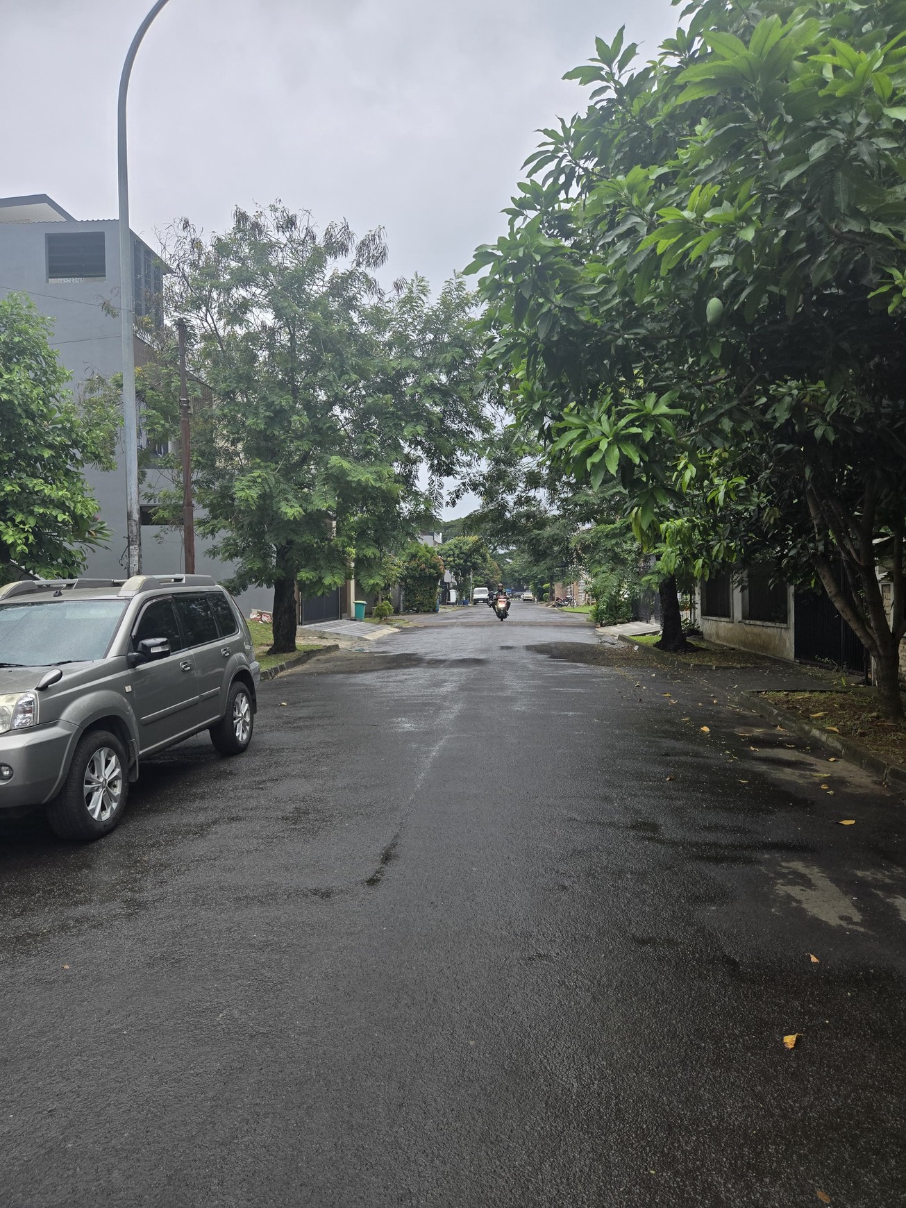 Rumah Bagus Di Anggrek Loka BSD Tangerang Selatan
