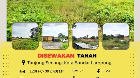 DISEWAKAN TANAH DI  DEKAT SMA YADIKA TANJUNG SENANG