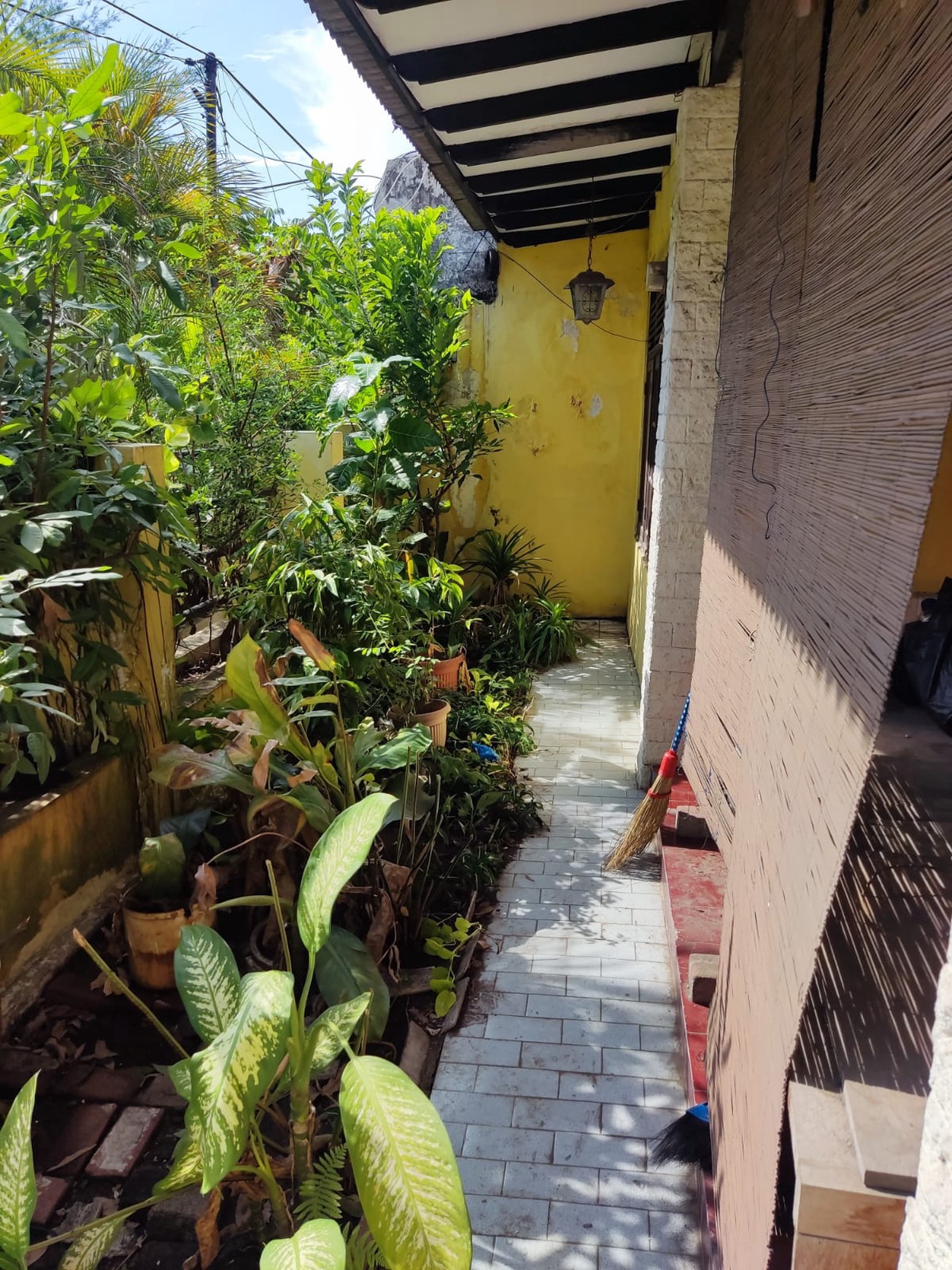 Dijual Cepat Rumah Siap Huni Lokasi Di Jl Ikan Munsing Perak Surabaya
