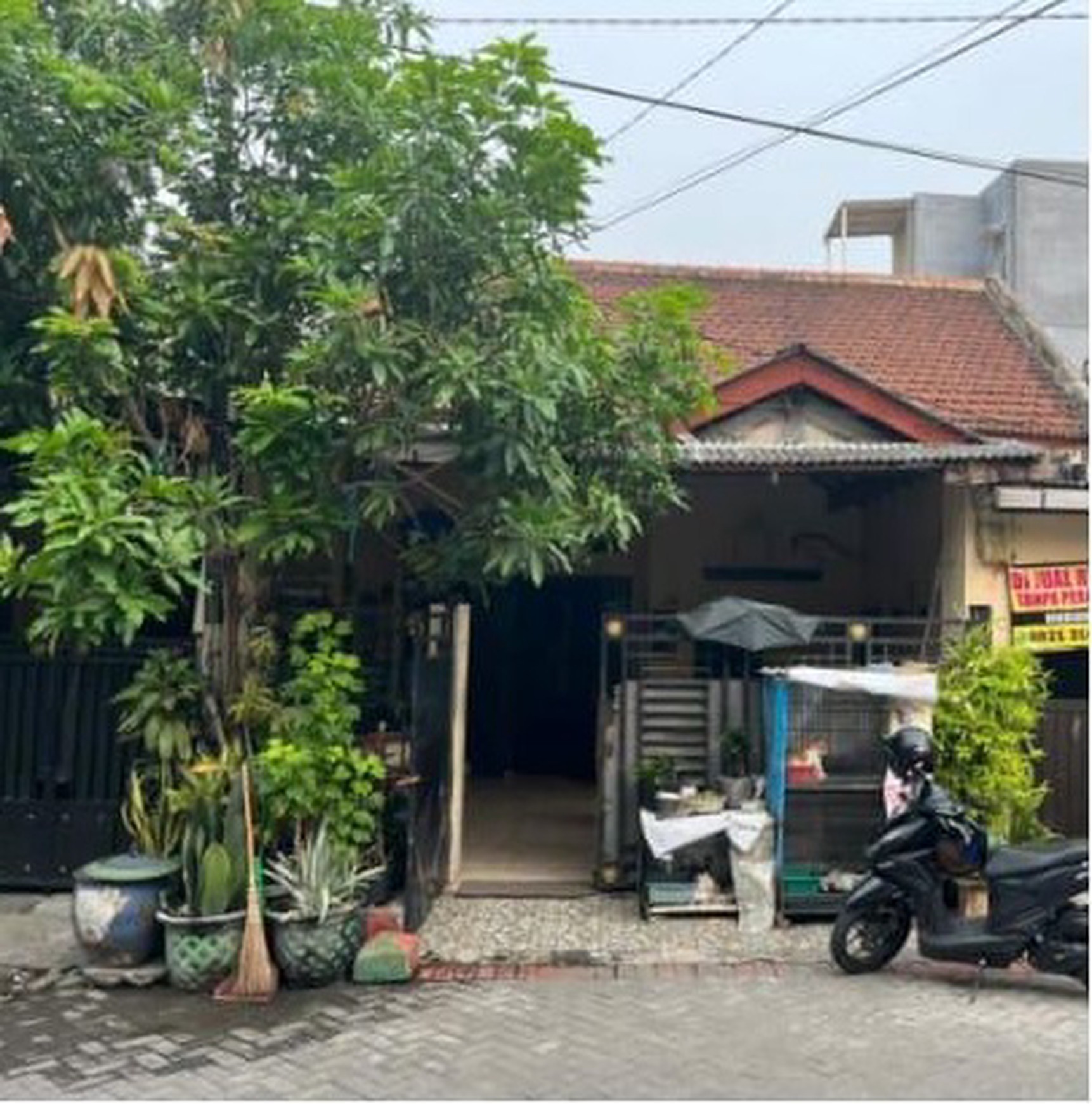 Dijual Rumah Murah Lokasi Di Jl Ikan Munsing Perak Surabaya