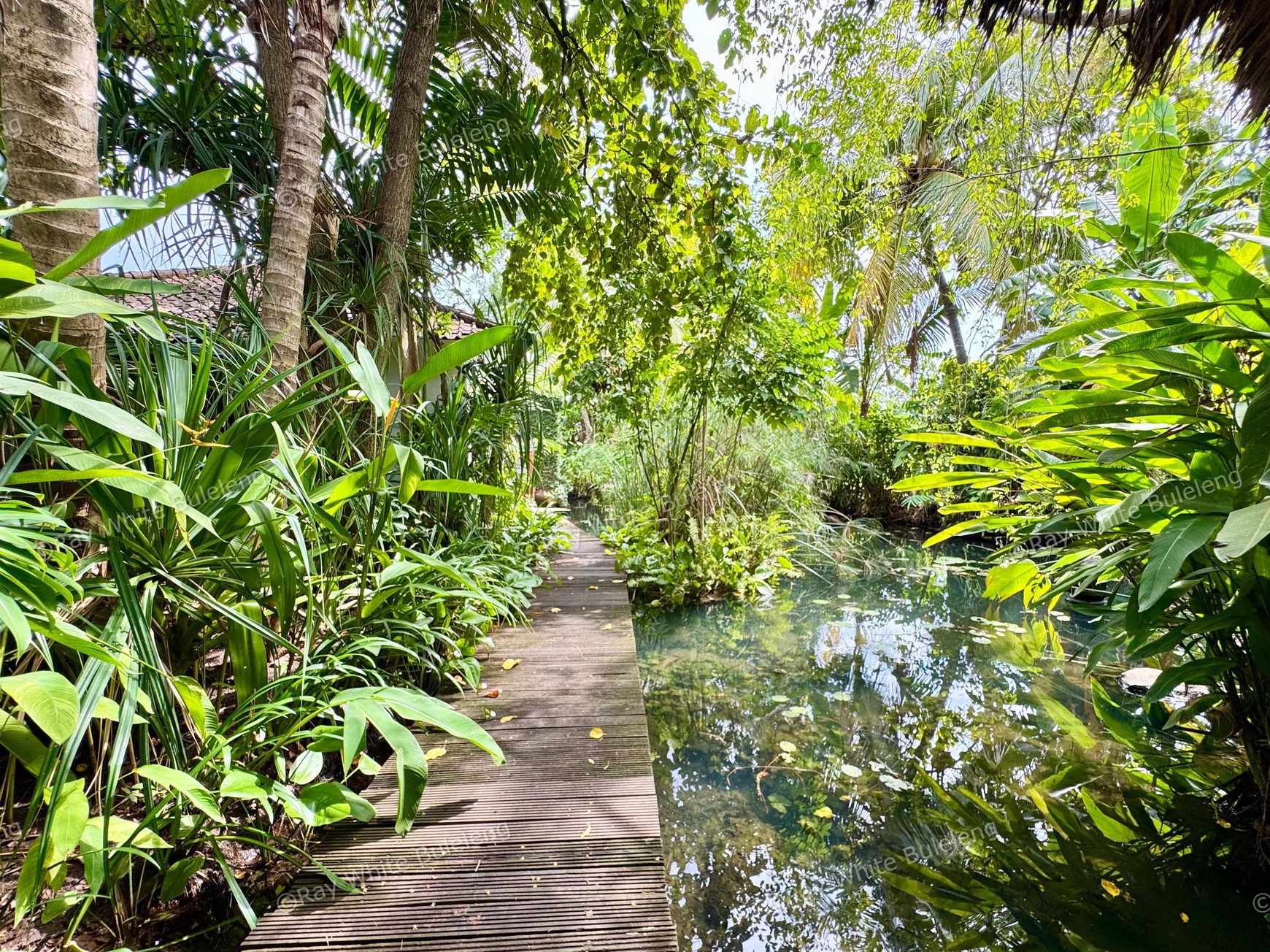 TROPICAL 5-BEDROOM VILLA JUST 3 MINUTES WALK TO LOVINA BEACH