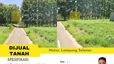 dijual tanah murah natar
