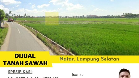 dijual tanah murah Natar LamSel