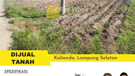 dijual tanah murah kalianda lampung selatan
