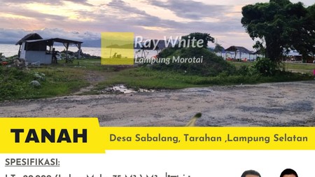 dijual tanah desa sabalang tarahan lampung selatan