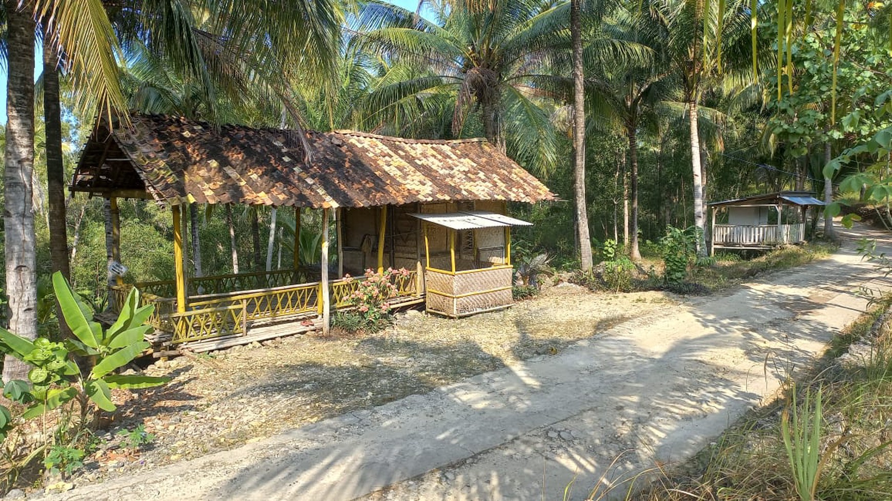 Tanah Luas 2580 Meter Persegi Lokasi Startegis Dekat Pantai Banyu Tibo Pacitan 