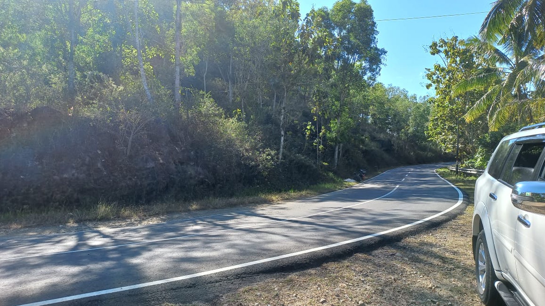 Tanag Luas 2600 Meter Persegi Lokasi Dekat Goa Gong Pacitan 