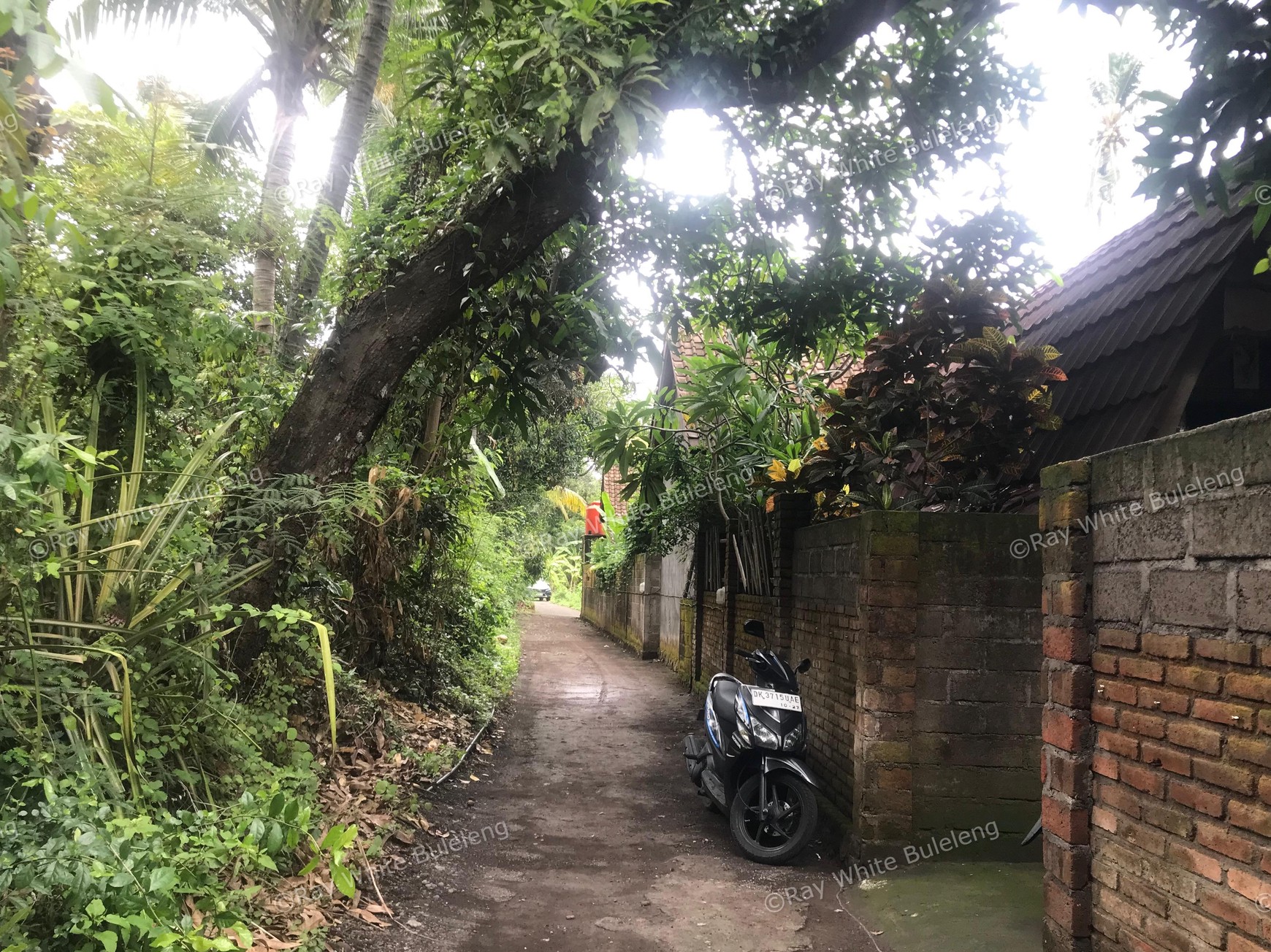 Business Opportunity: A Tropical Sanctuary & Serene Eco Villa In Tejakula For Sale!