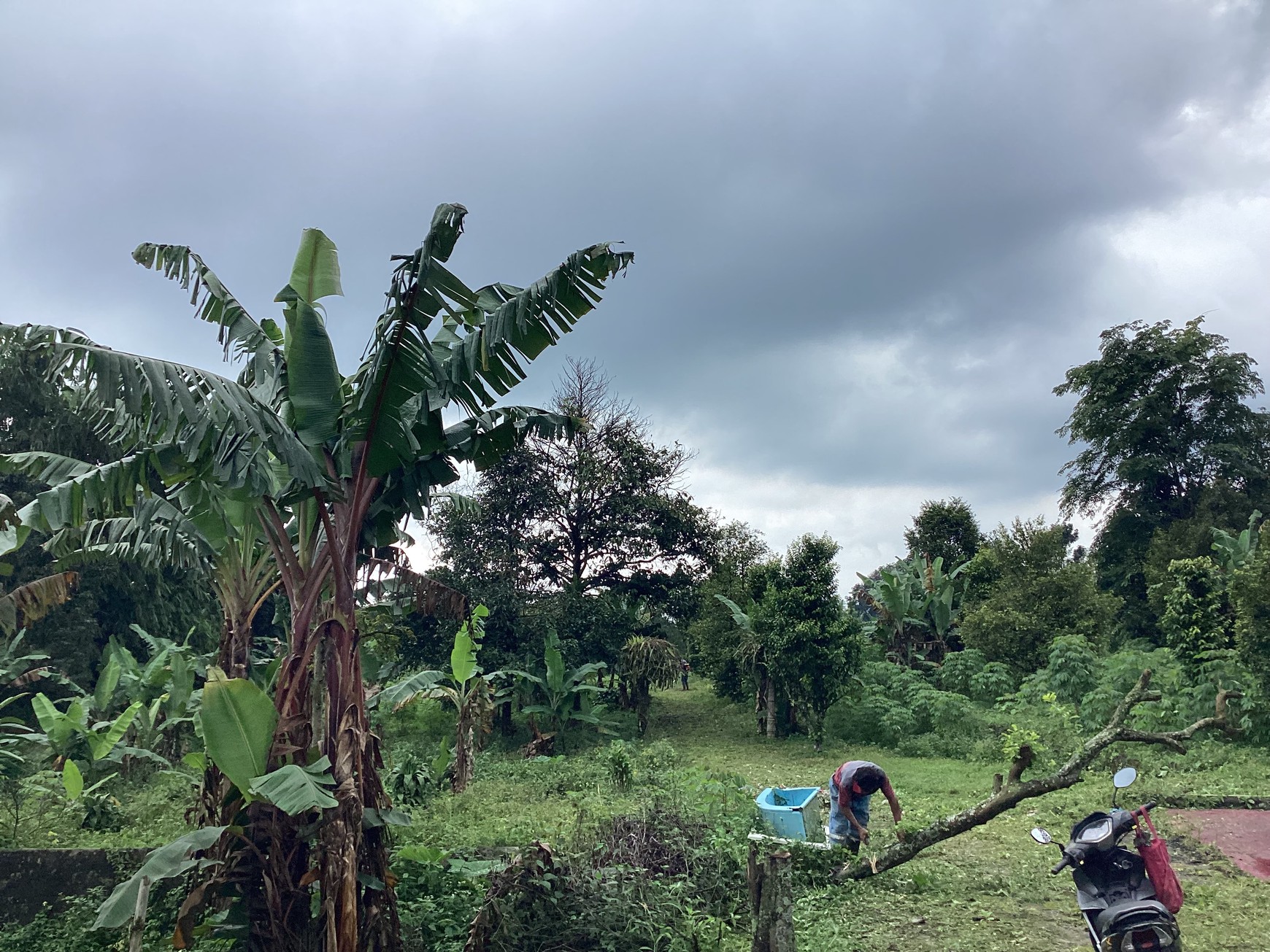 Tanah Dekat Highland Park Cocok Untuk Villa Alam