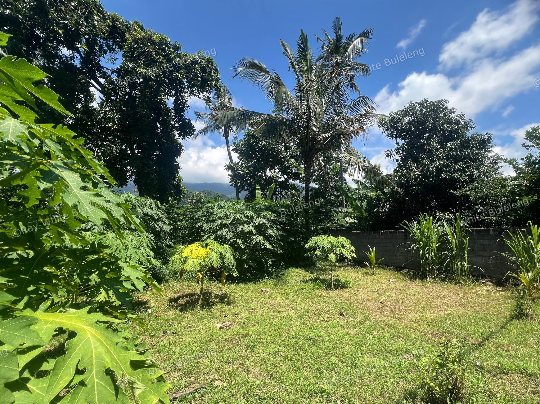 Eco-Rich Land with Subak Flow - Ideal for Agribusiness & Villa Development