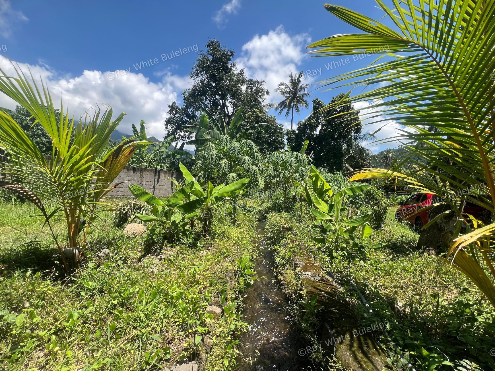 Eco-Rich Land with Subak Flow - Ideal for Agribusiness & Villa Development