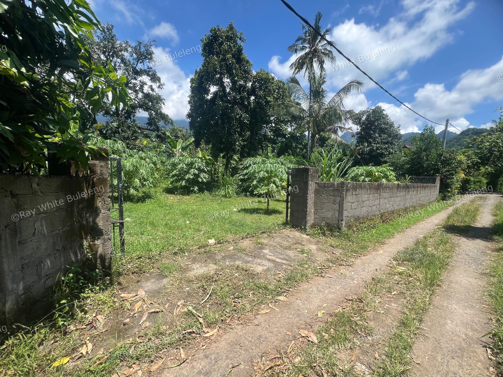 Eco-Rich Land with Subak Flow - Ideal for Agribusiness & Villa Development