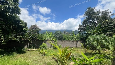 Eco-Rich Land with Subak Flow - Ideal for Agribusiness & Villa Development