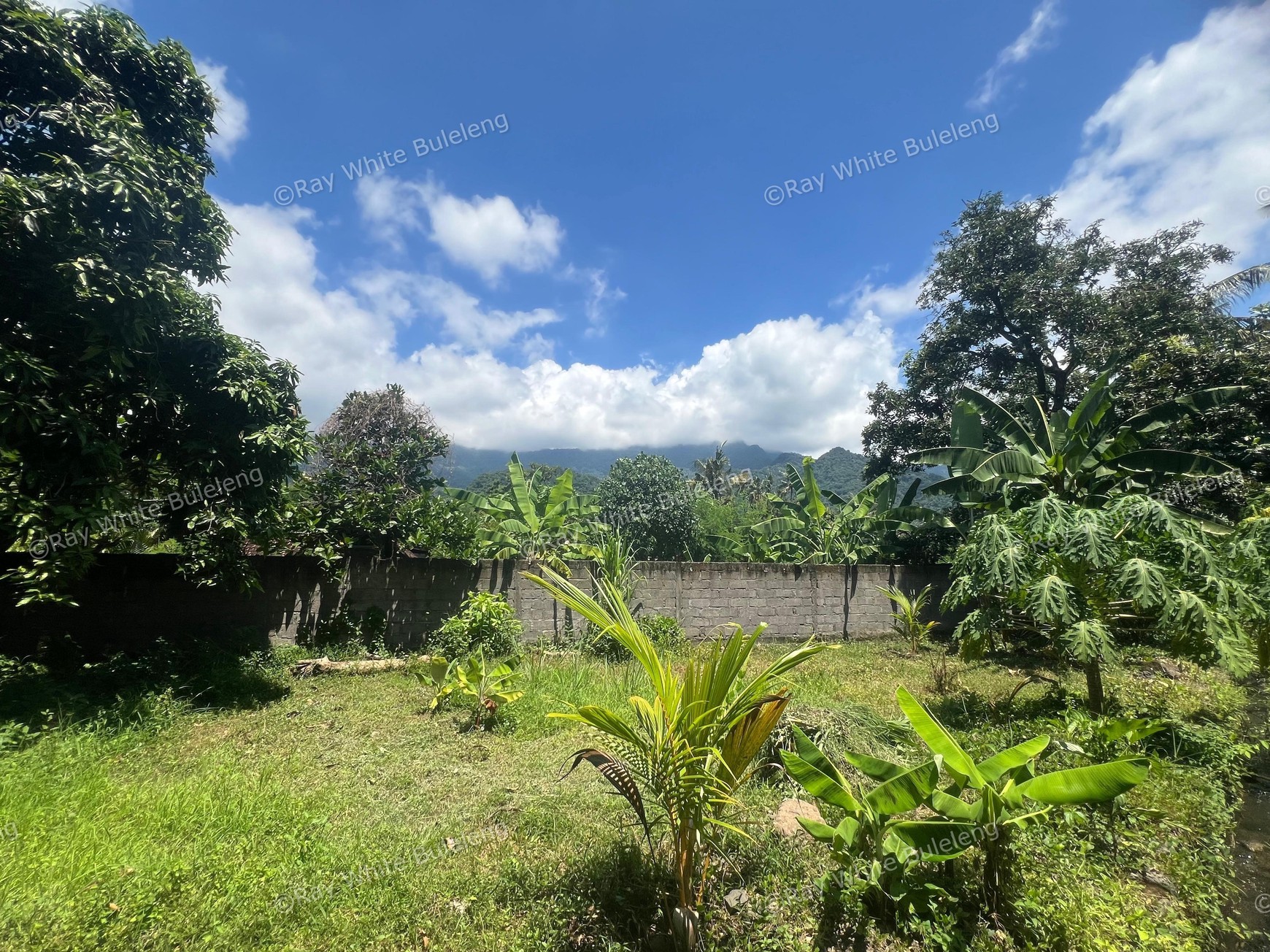 Eco-Rich Land with Subak Flow - Ideal for Agribusiness & Villa Development