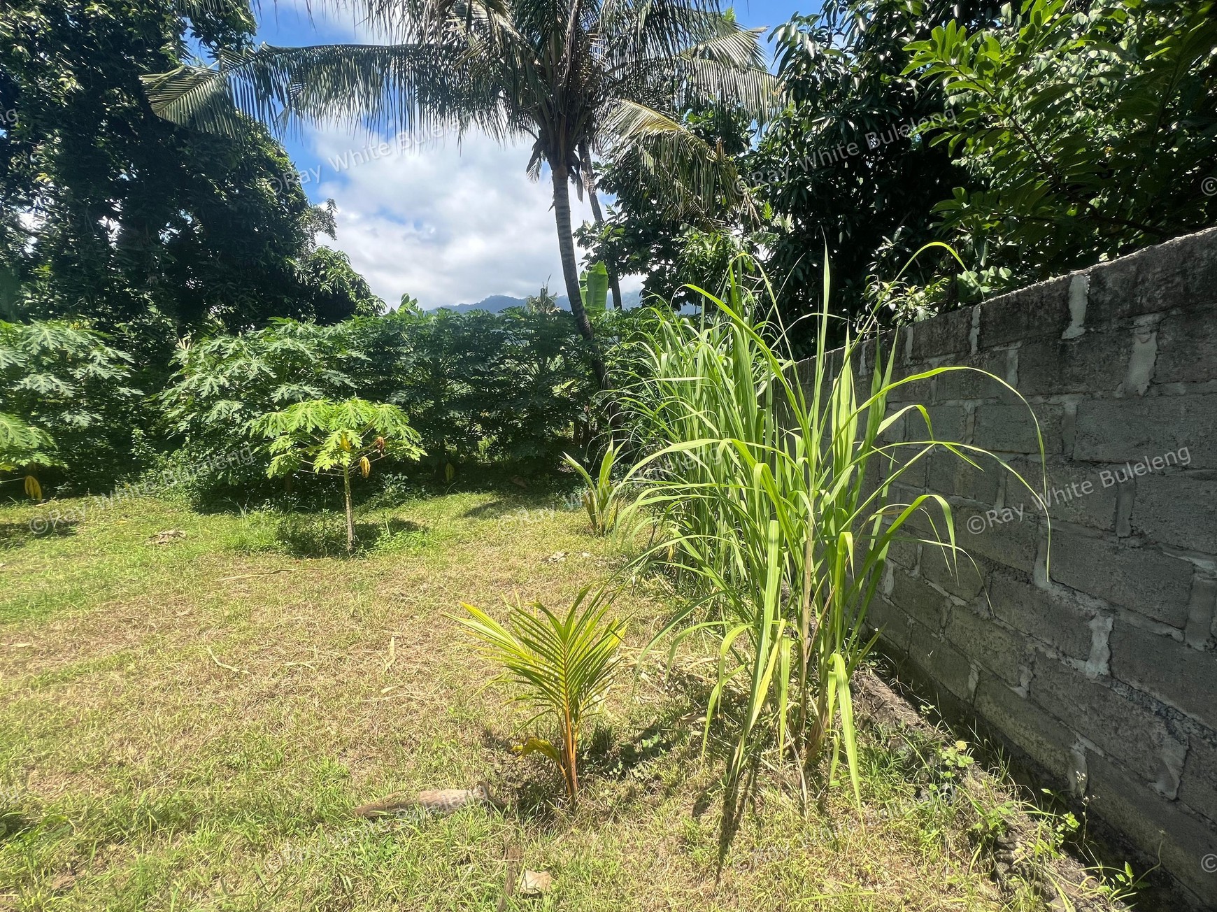 Eco-Rich Land with Subak Flow - Ideal for Agribusiness & Villa Development