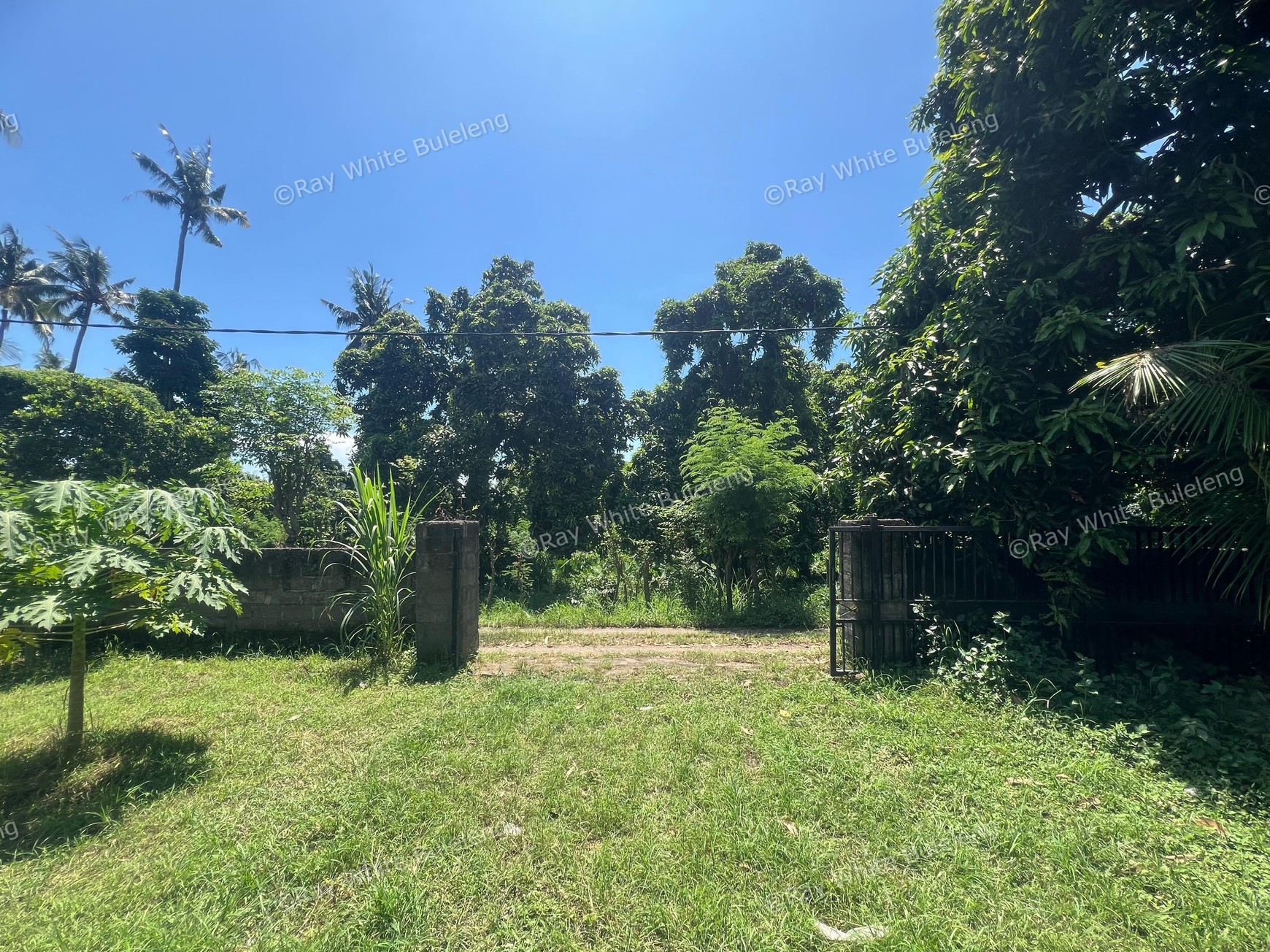 Eco-Rich Land with Subak Flow - Ideal for Agribusiness & Villa Development
