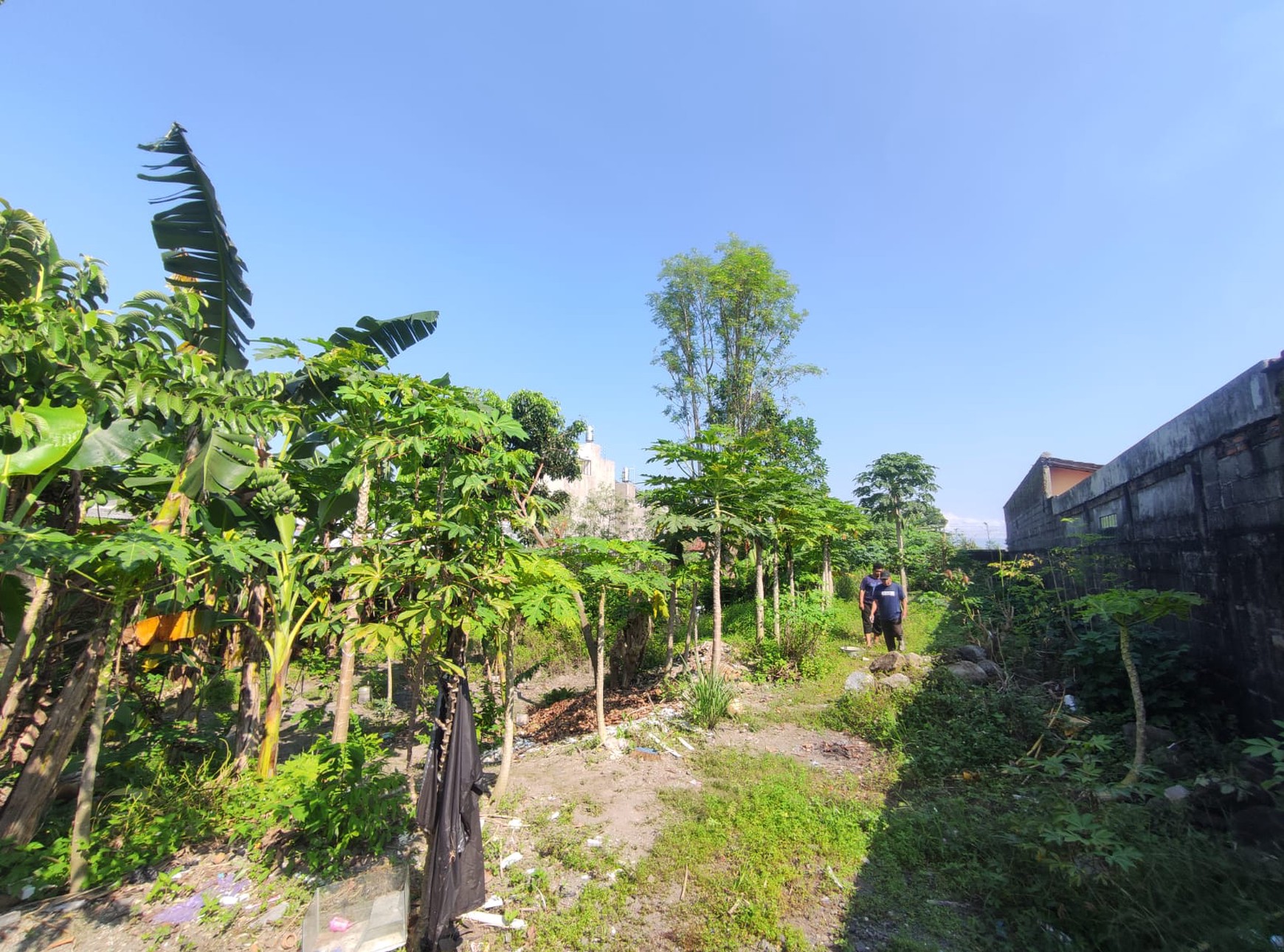 Tanah 1256 Meter Persegi Lokasi Dekat Universitas Widya Mataram Ngestiharjo Kasihan Bantul
