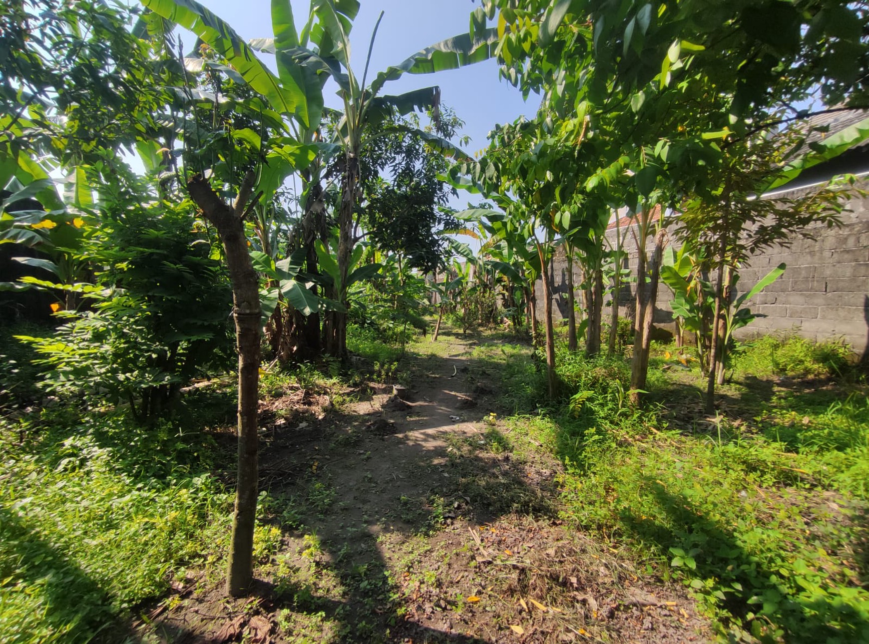 Tanah 1256 Meter Persegi Lokasi Dekat Universitas Widya Mataram Ngestiharjo Kasihan Bantul