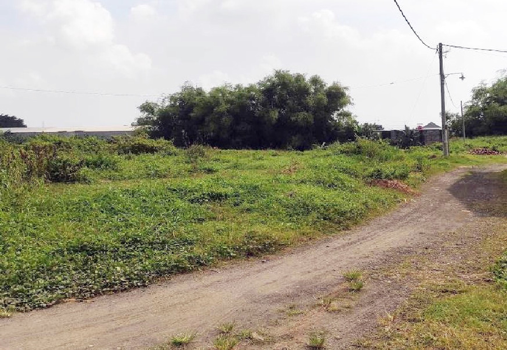 Tanah SIAP BANGUN !!! di Jl. Kontrak Ngoro Mojokerto, bisa di jual Kavlingan (ada 125 Kavling) sudah ada Layout Kavlingannya !!!