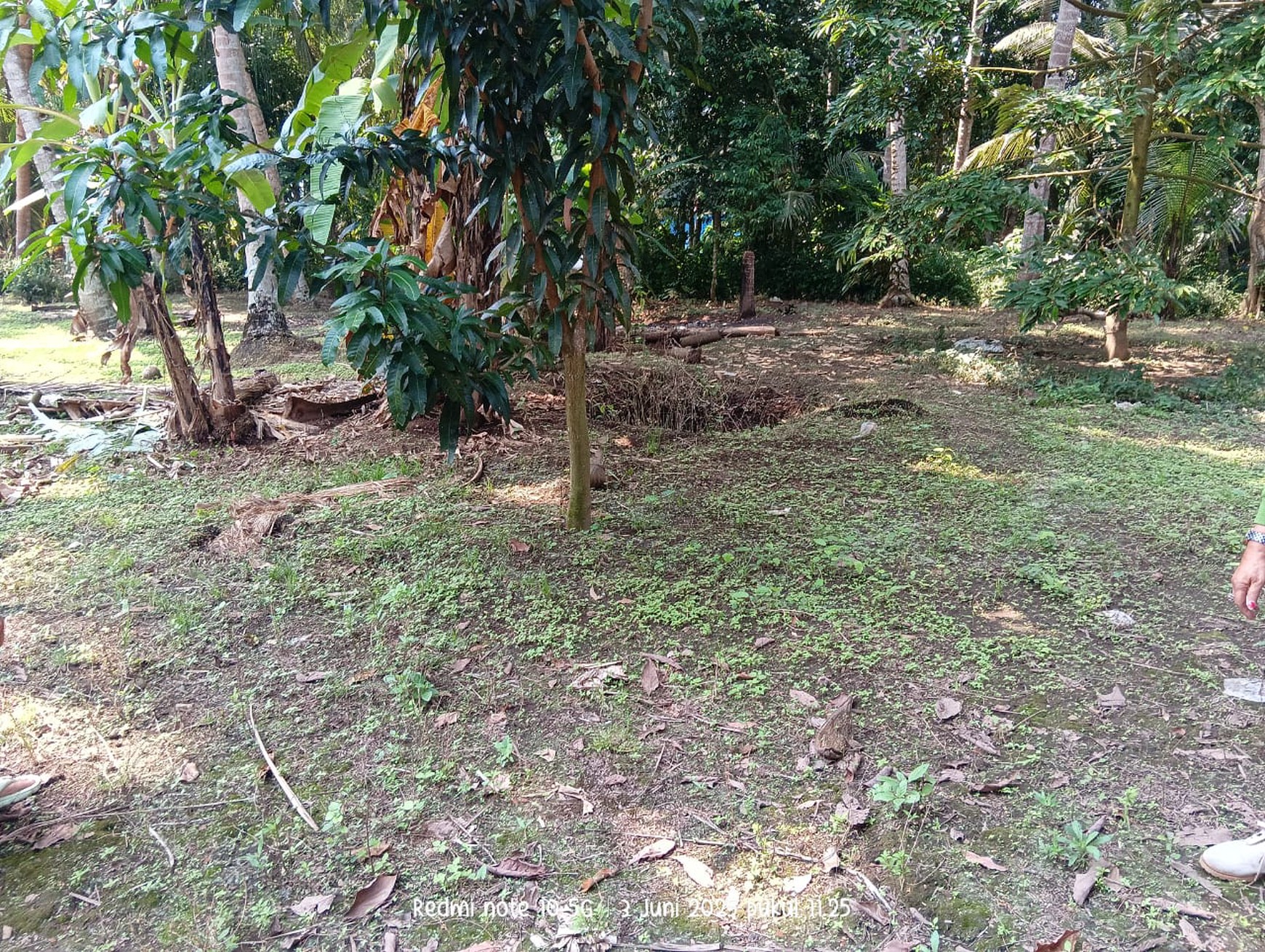 Tanah Luas 877 Meter Persegi Lokasi di Jalan Deandles Glagah Kulon Progo 