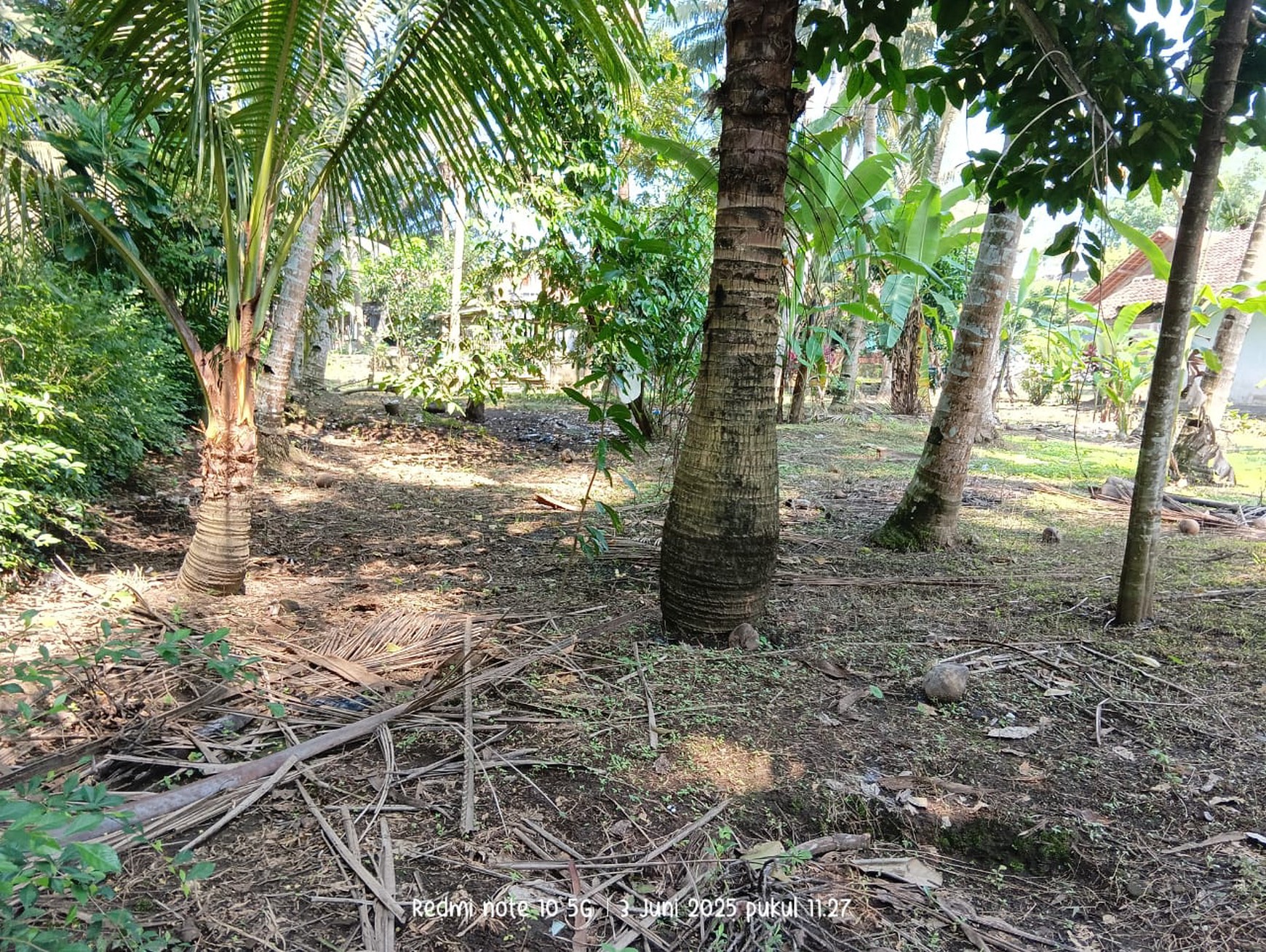 Tanah Luas 877 Meter Persegi Lokasi di Jalan Deandles Glagah Kulon Progo 