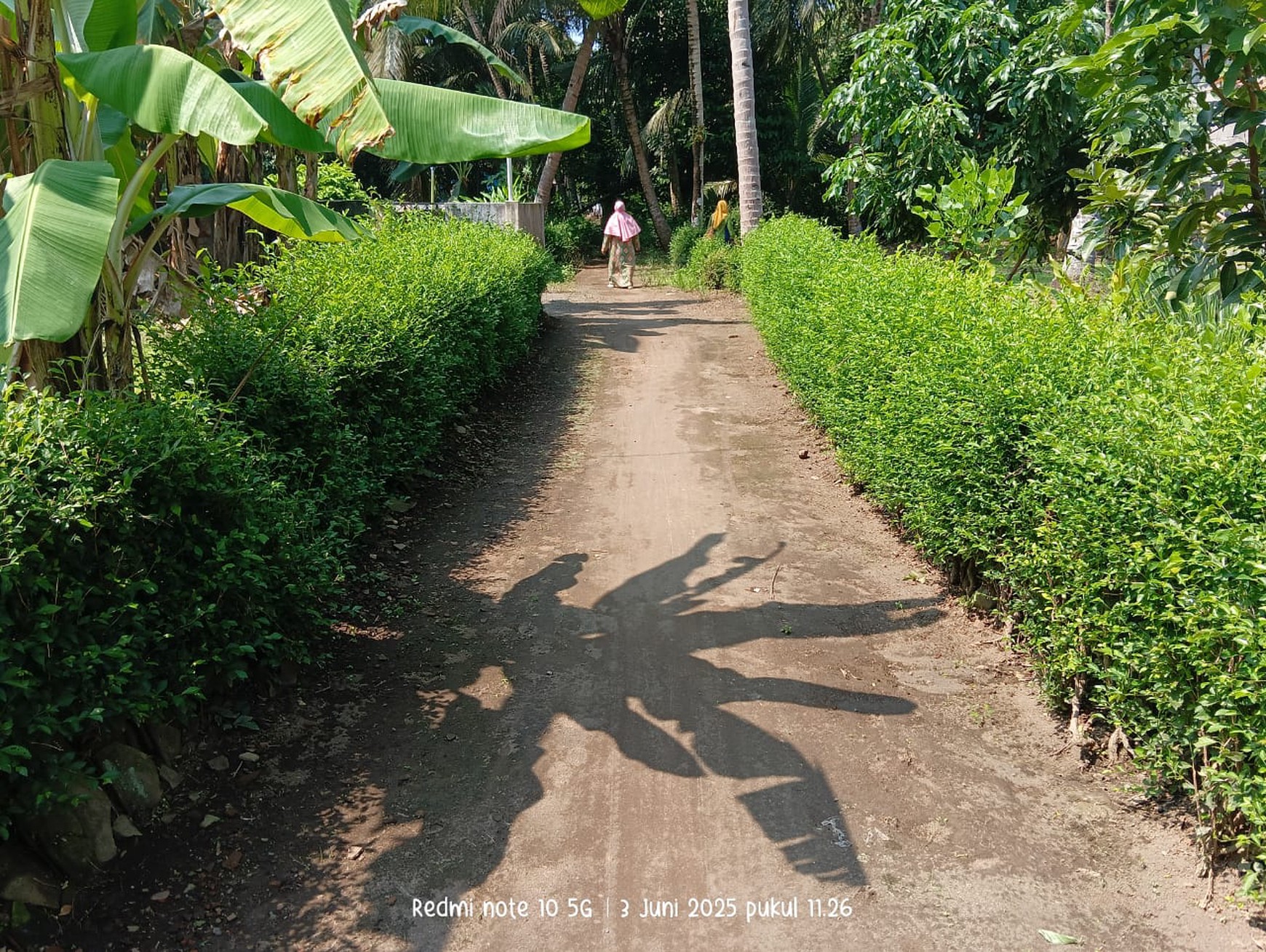 Tanah Luas 877 Meter Persegi Lokasi di Jalan Deandles Glagah Kulon Progo 