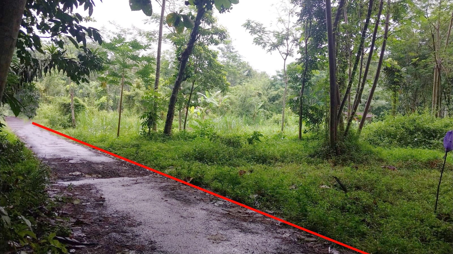 Tanah Pekarangan 1400 Meter Persegi Cocok Untuk Homestay Lokasi Candibinangun Ngaglik Sleman