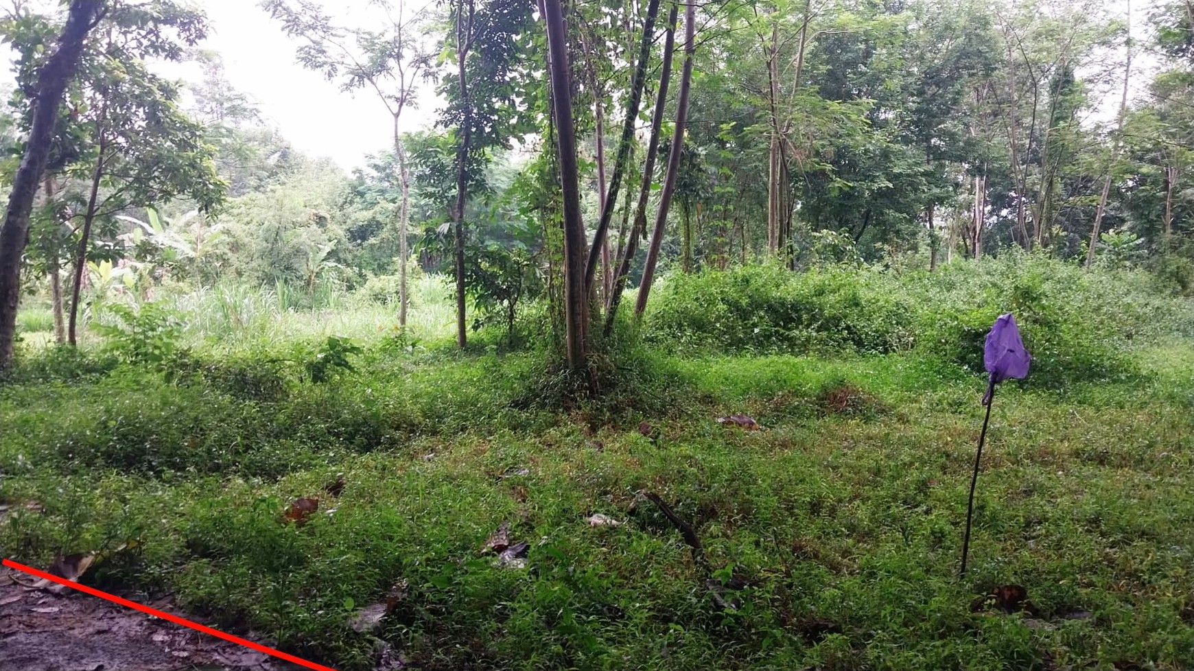 Tanah Pekarangan 1400 Meter Persegi Cocok Untuk Homestay Lokasi Candibinangun Ngaglik Sleman