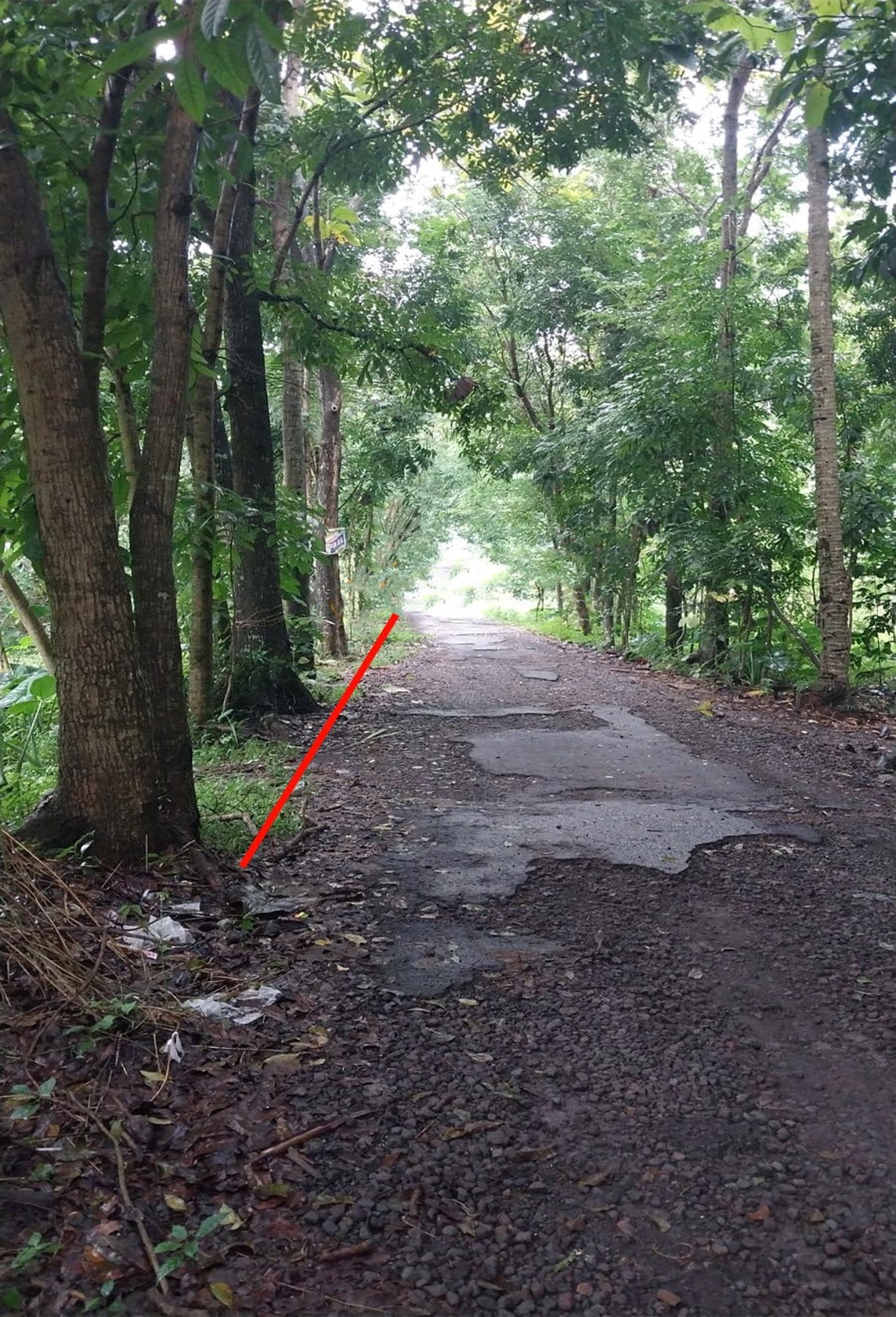 Tanah Pekarangan 1400 Meter Persegi Cocok Untuk Homestay Lokasi Candibinangun Ngaglik Sleman